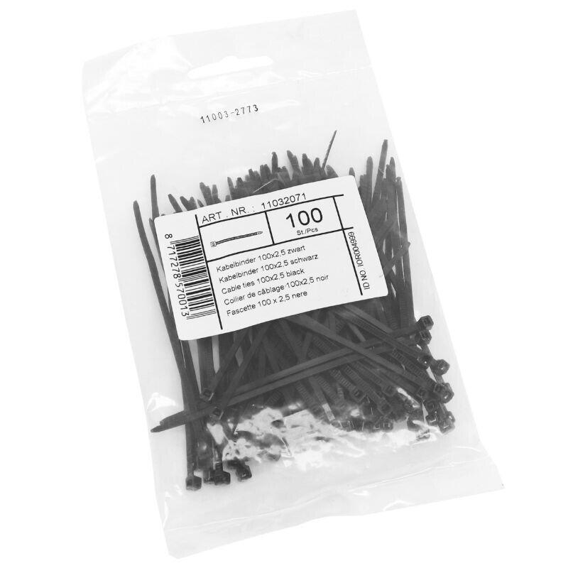 Opakowanie 100 nylonowych zacisków P2R Rilsan 2,5x100 mm