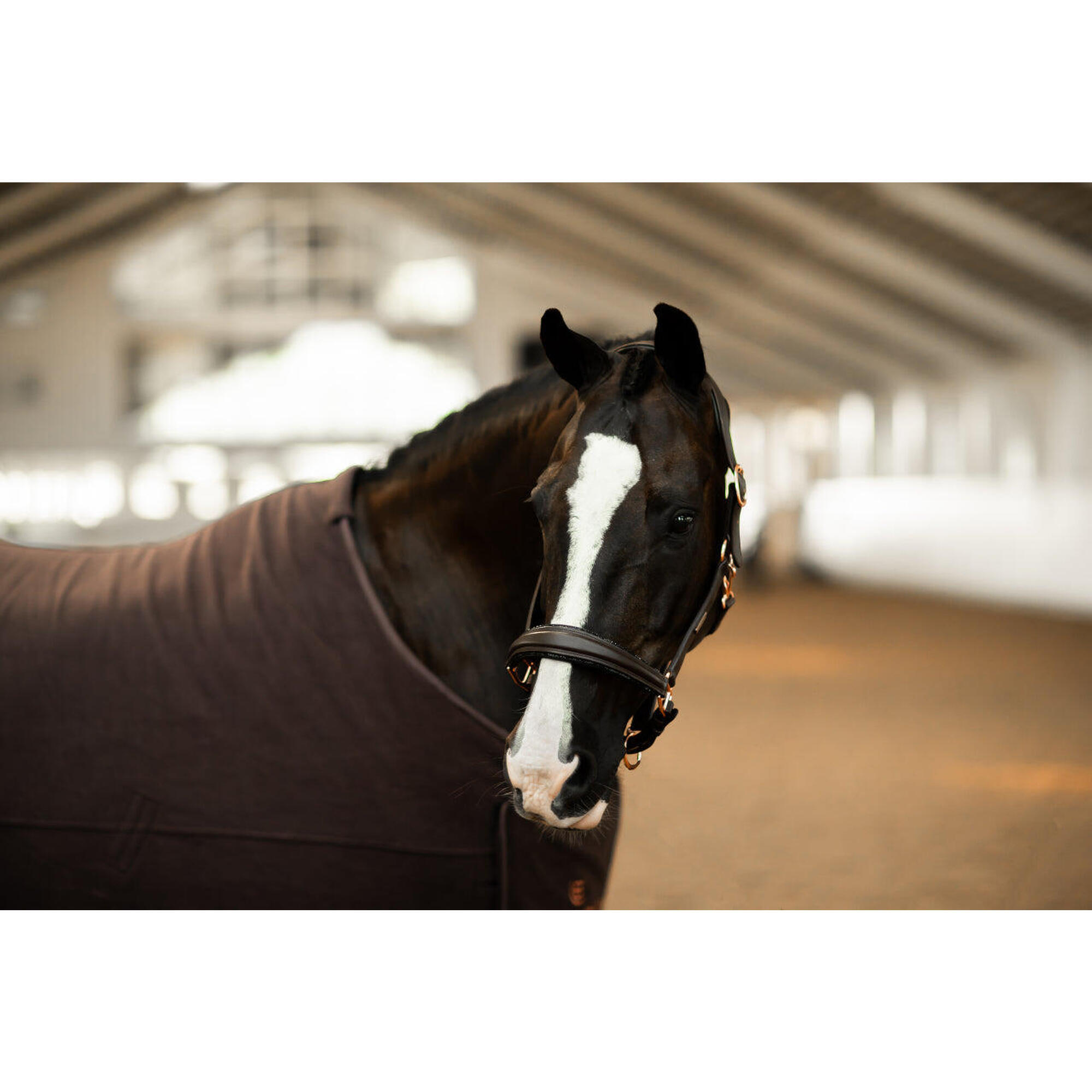 Skórzana anatomiczna wędzidła dla konia Equestrian Stockholm