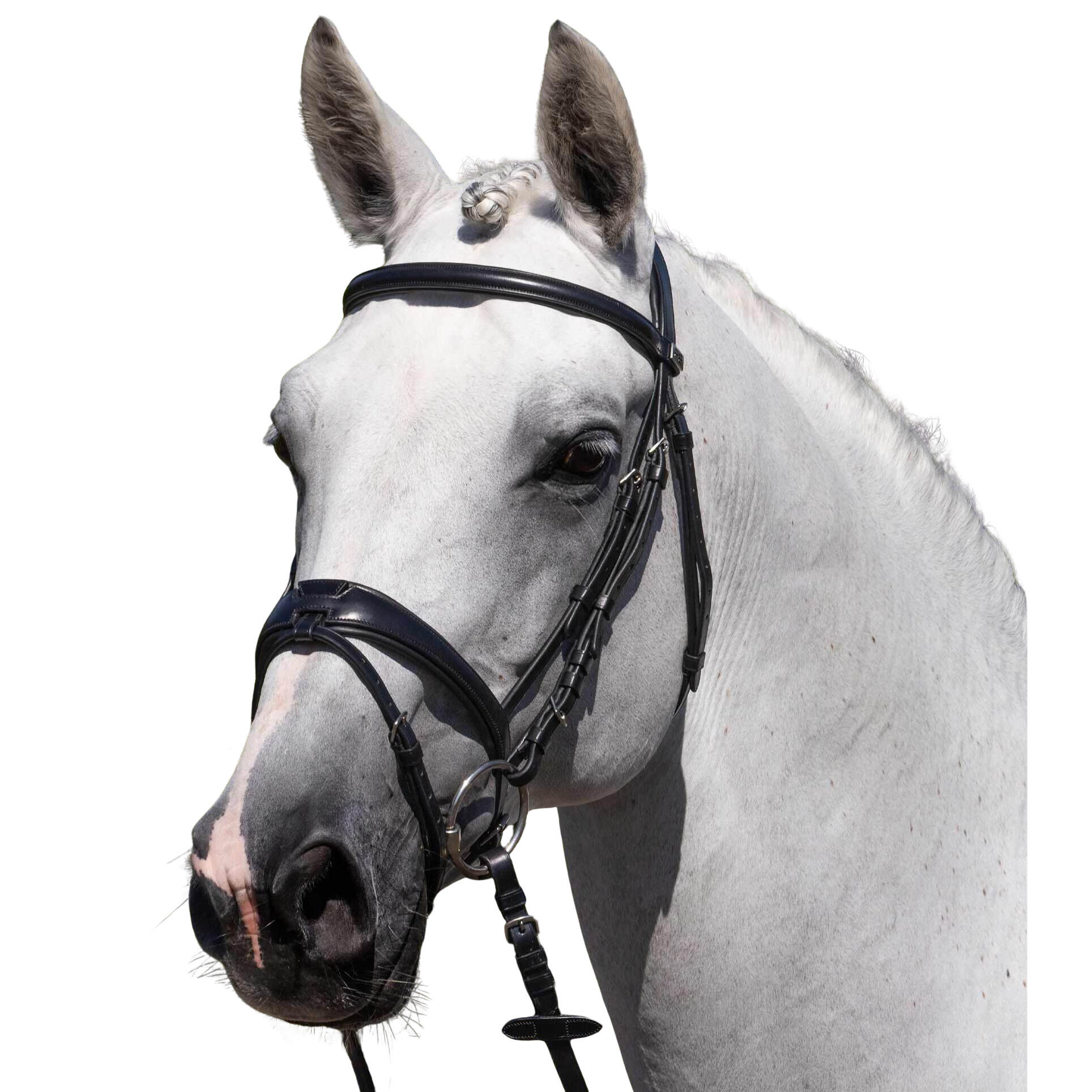 Siodło do jazdy konnej Premier Equine Artana