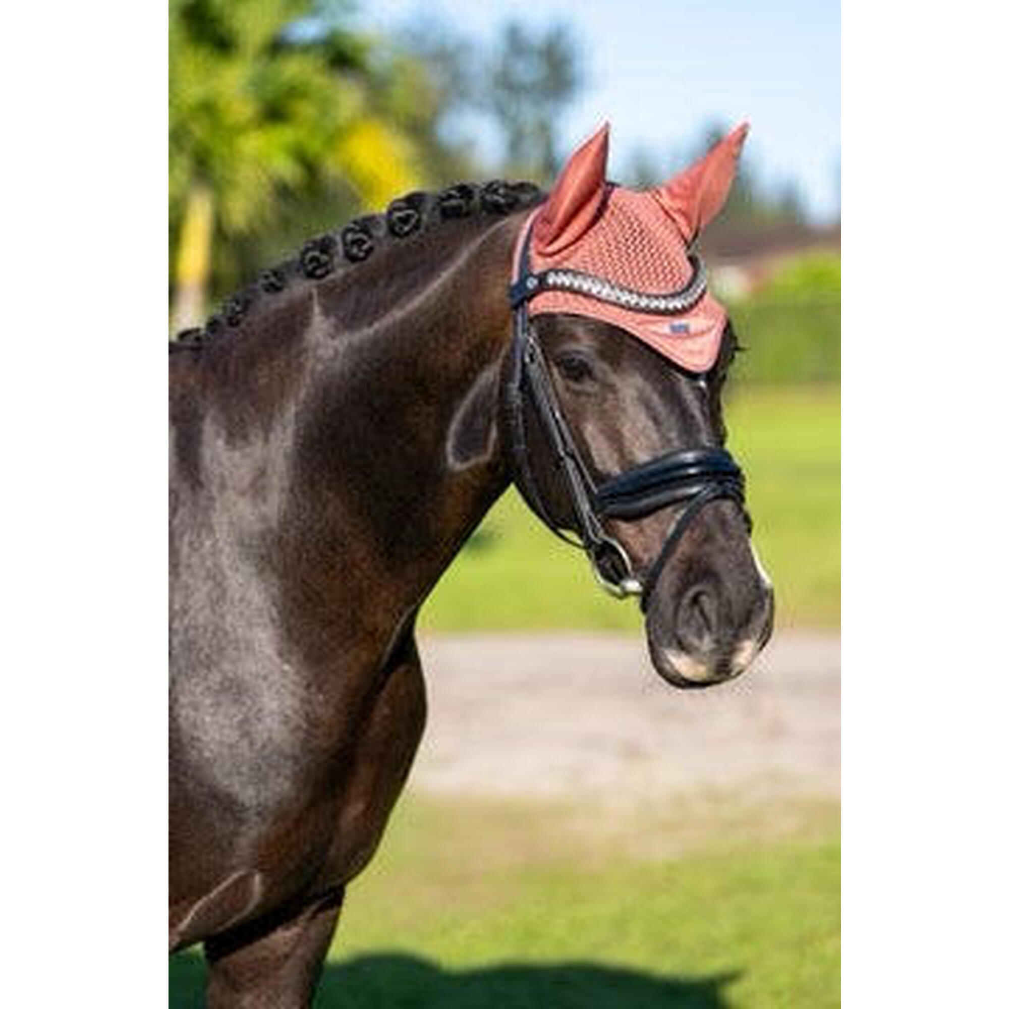 Krótki kapelusz dla koni Equestrian Stockholm Modern