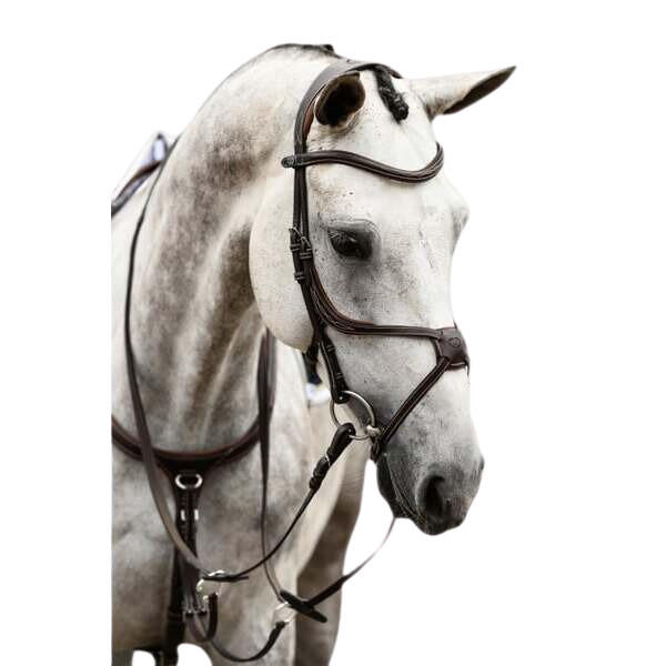 Uzda do jazdy konnej PS of Sweden Athens