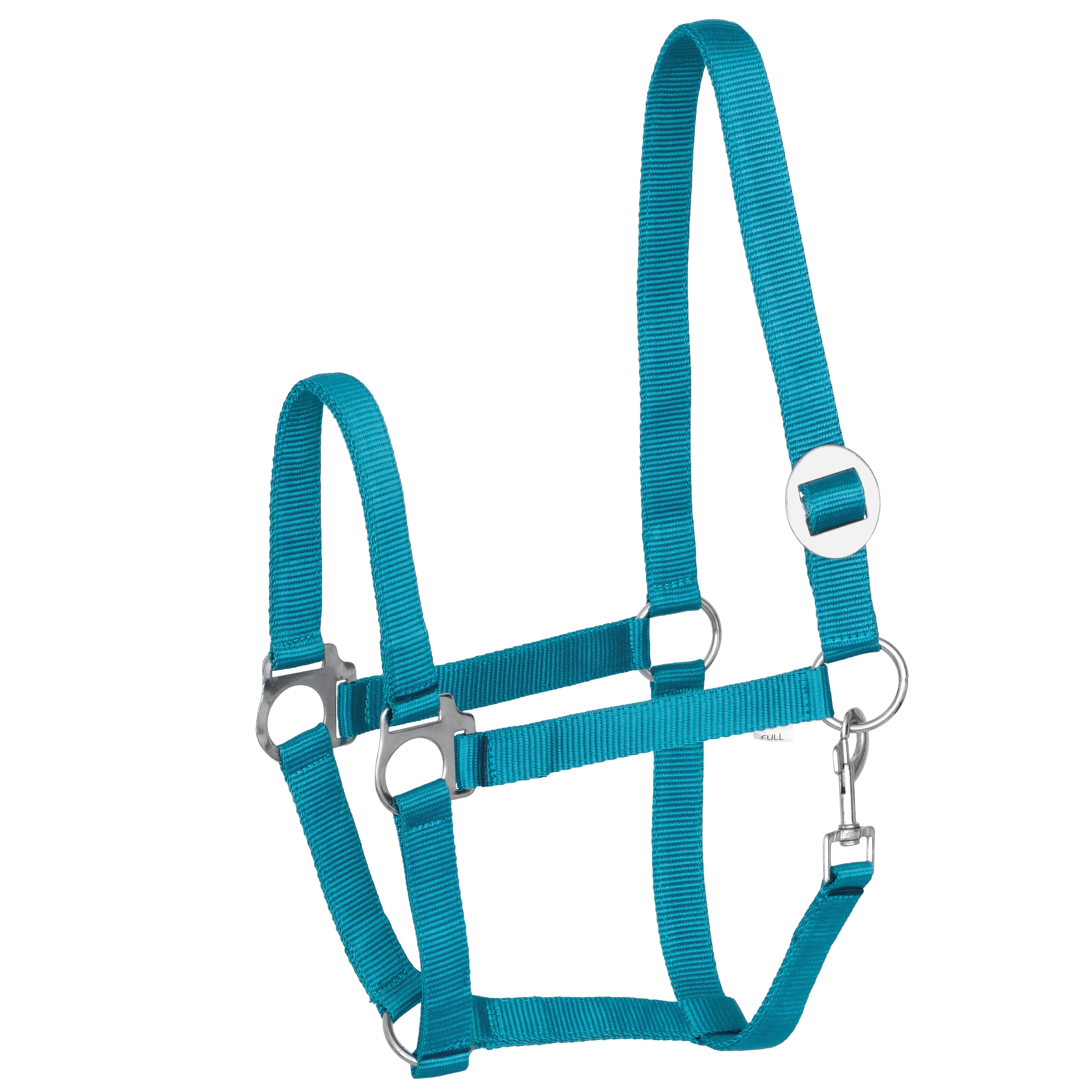 Kantar START Economic