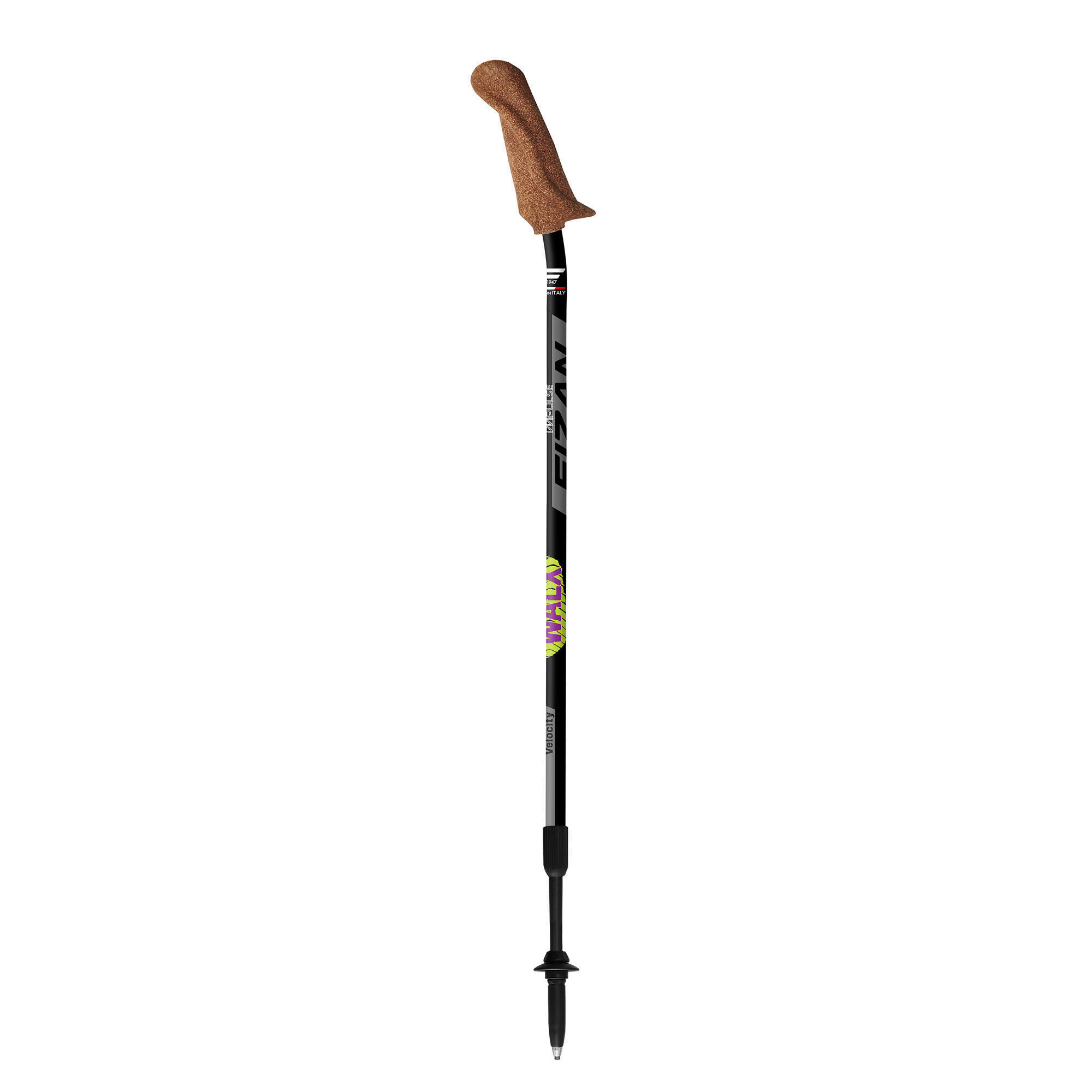Kije nordic walking Fizan Walx Velocity