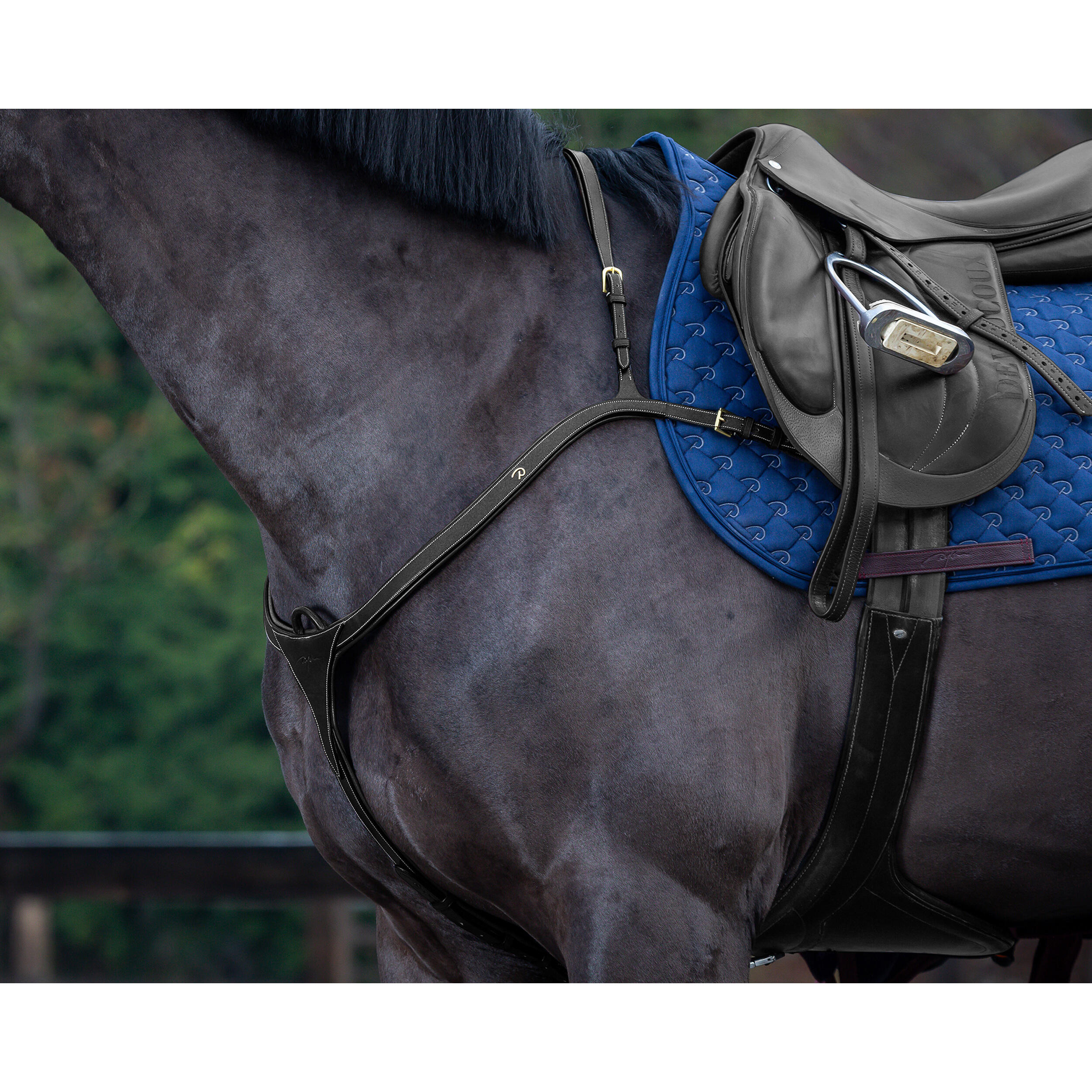 Napierśnik z długim mostkiem dla koni Dy’on