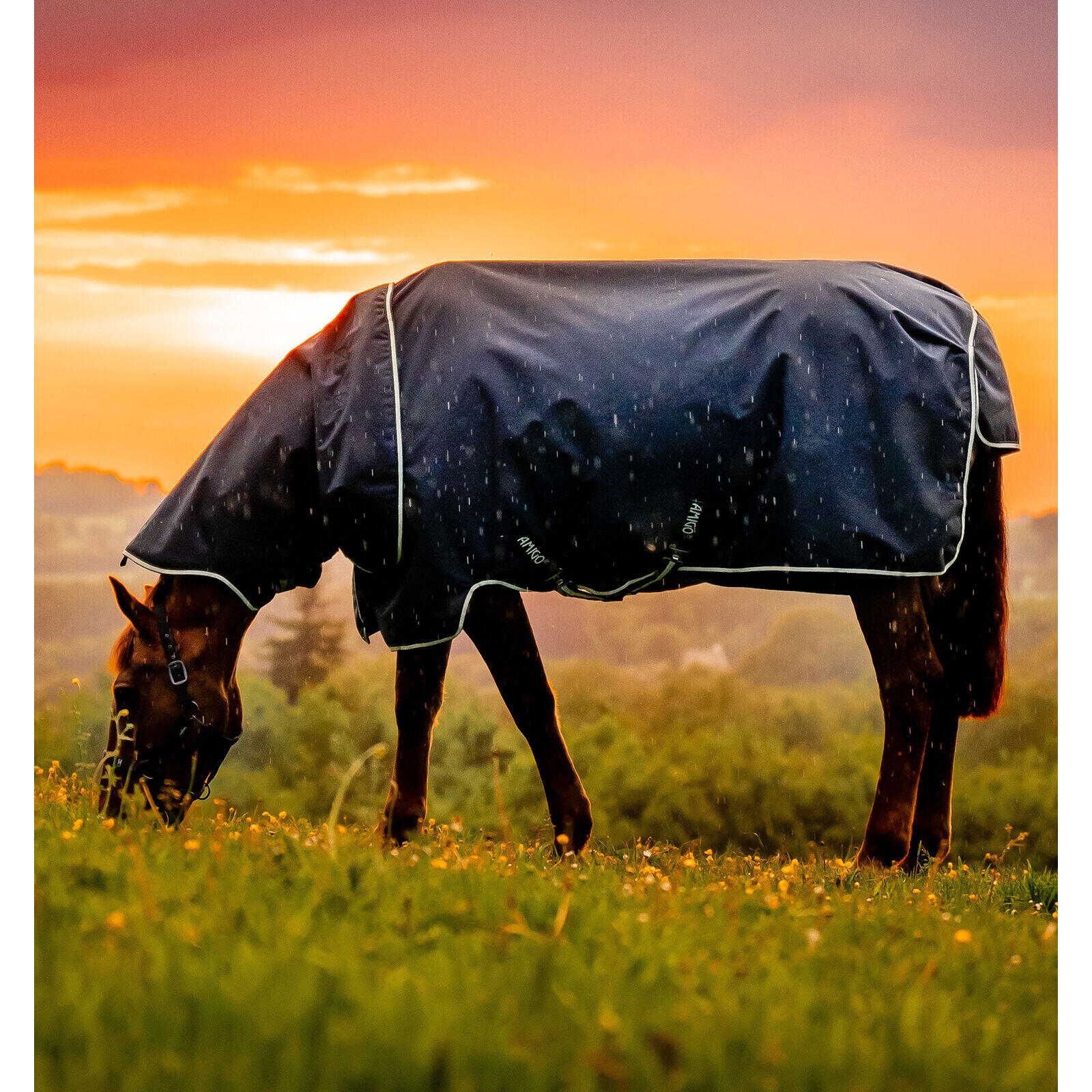 Derka dla kucyków zewnętrzna Horseware Amigo Ripstop 900D Plus 100g