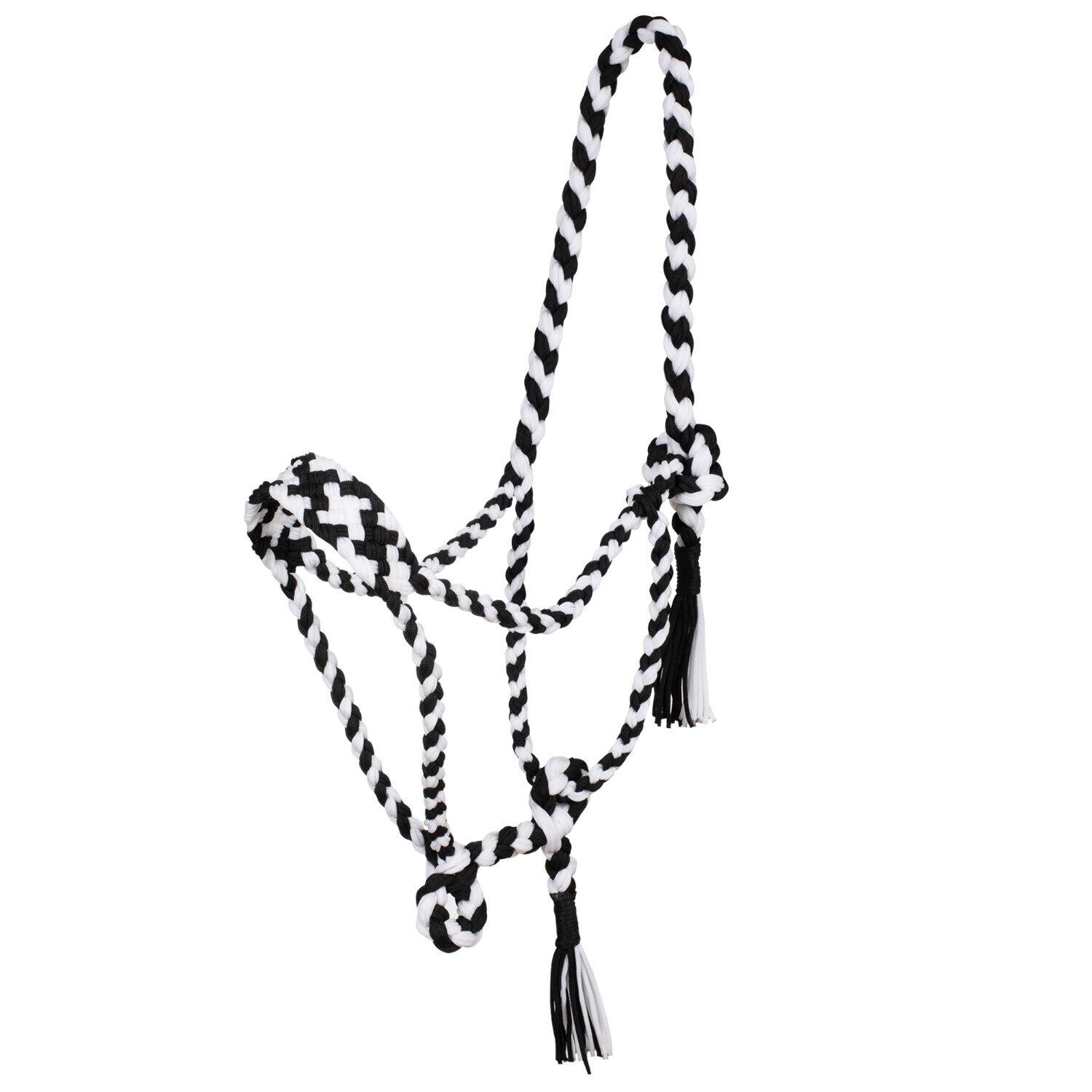 Smycz dla konia z nylonu plecionego Pool's