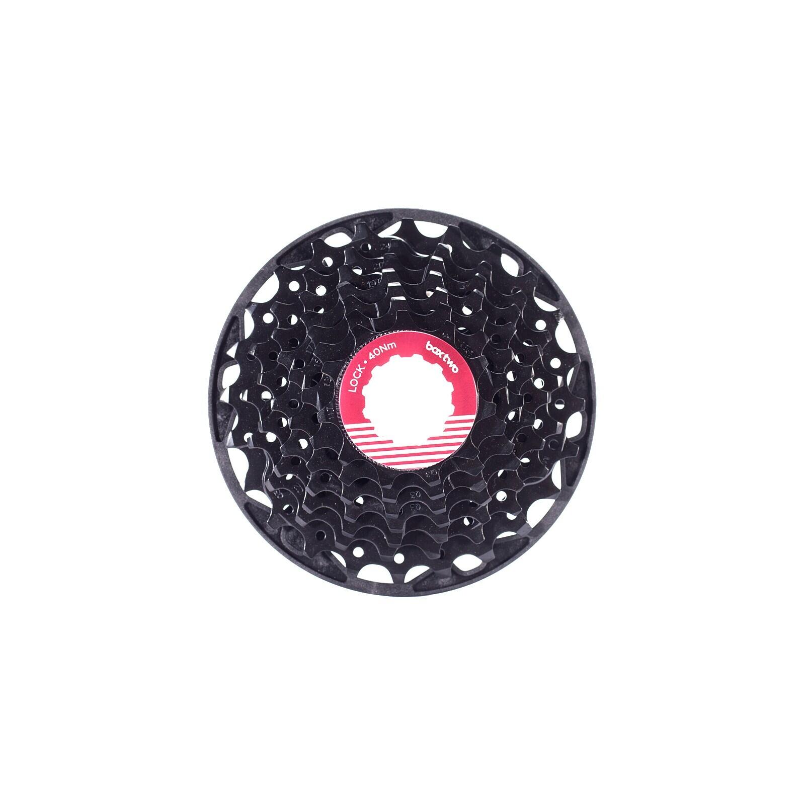 Kaseta Box Components Two 11-24