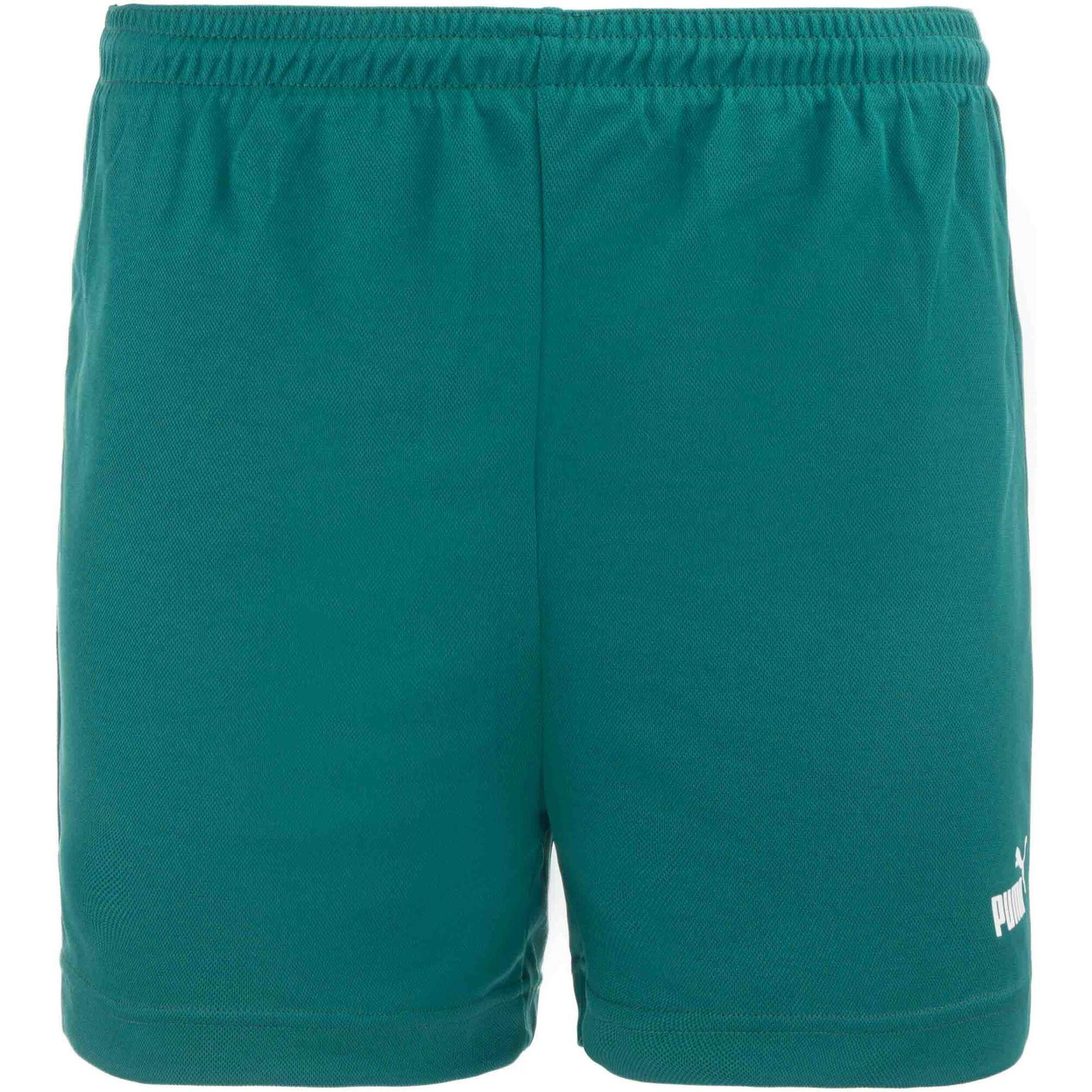 Męskie Szorty Sportowe Puma - Komfort i Wydajność