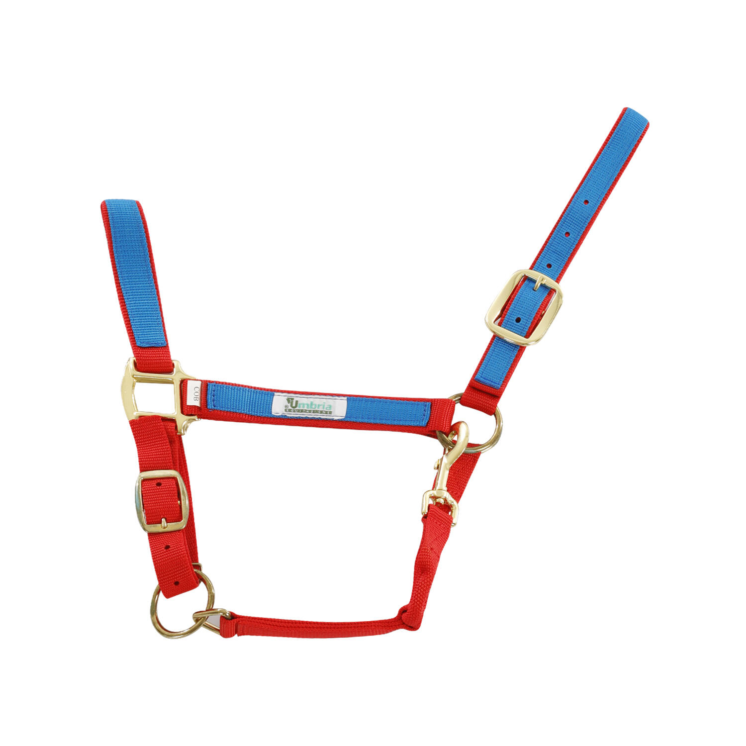 Smycz dla konia z kolorowego nylonu Umbria Equitazione