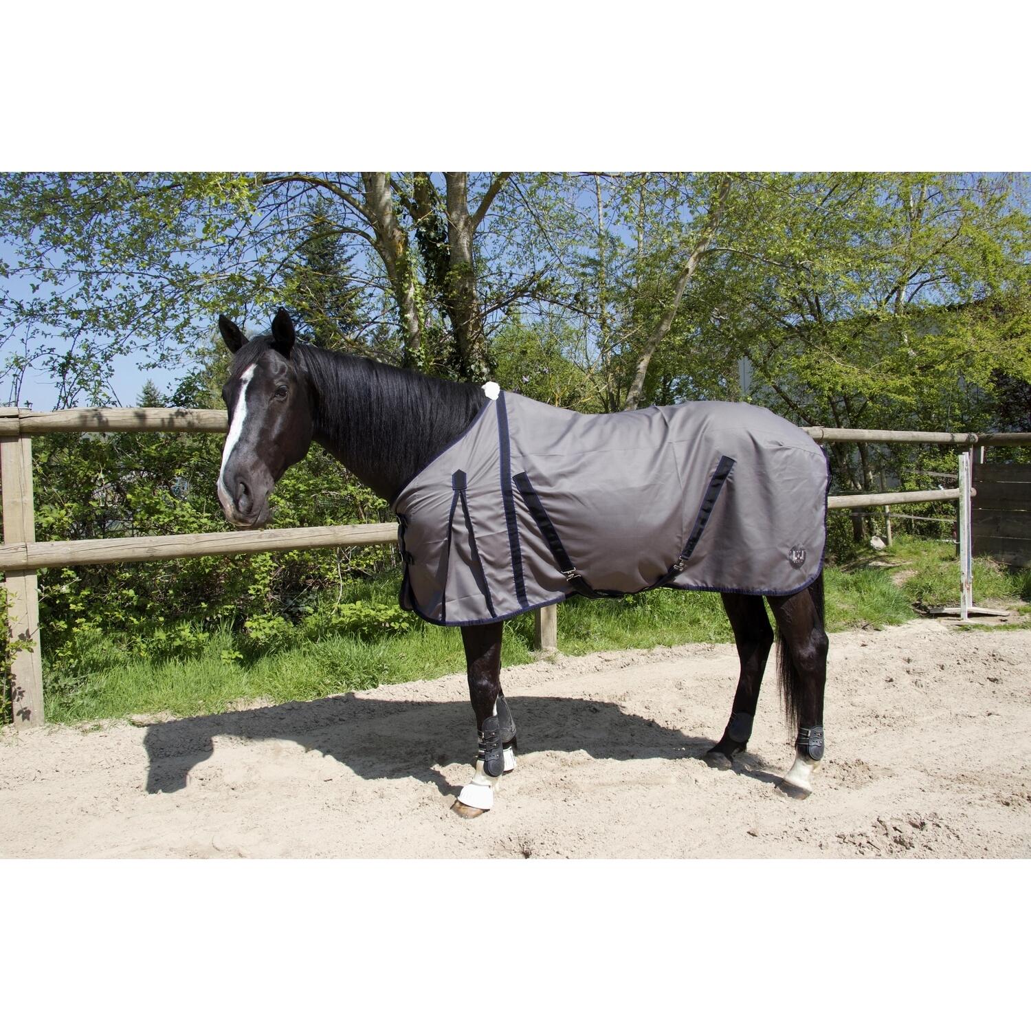 Bawełniana koszulka dla koni T de T