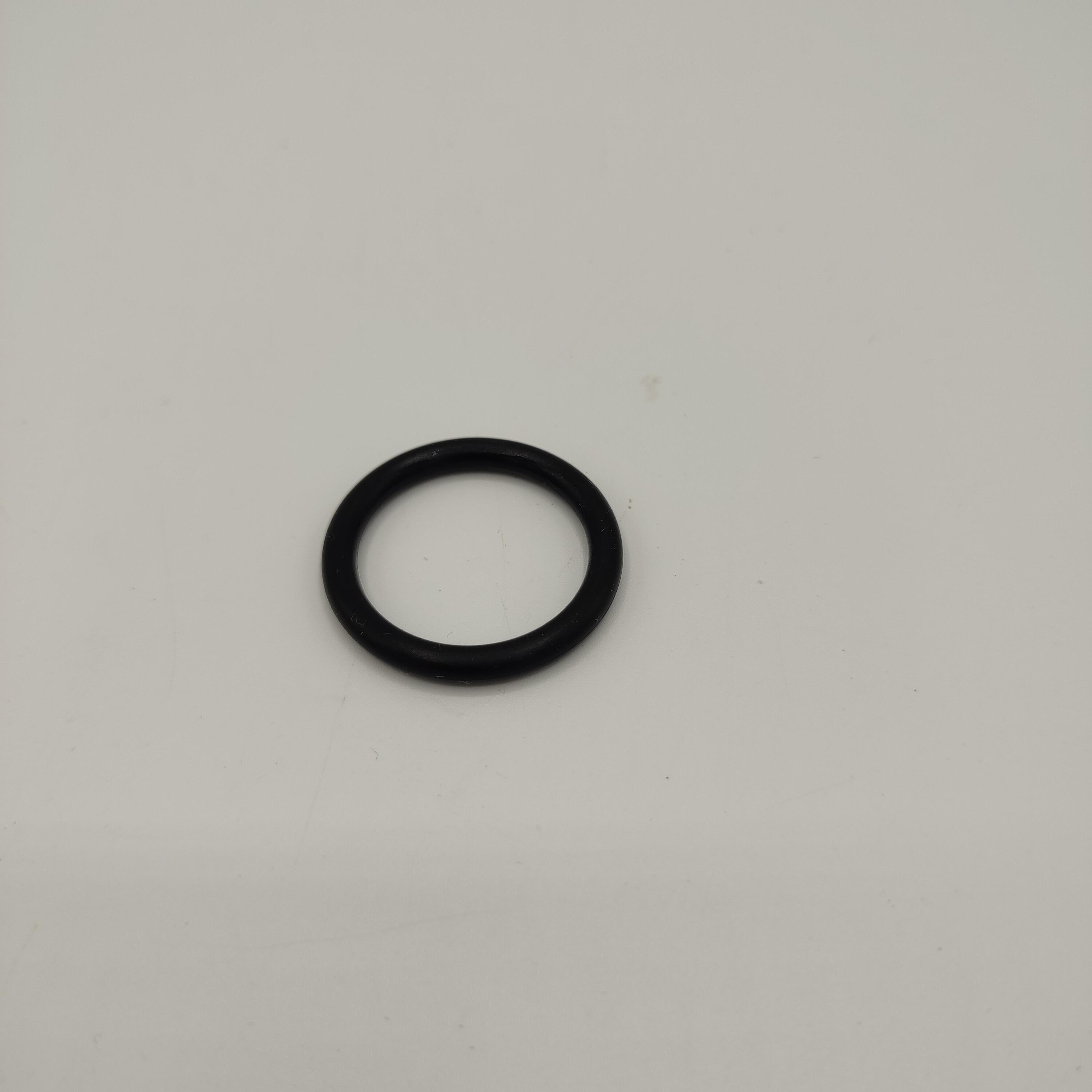 Oring do pompki rowerowej FLP100