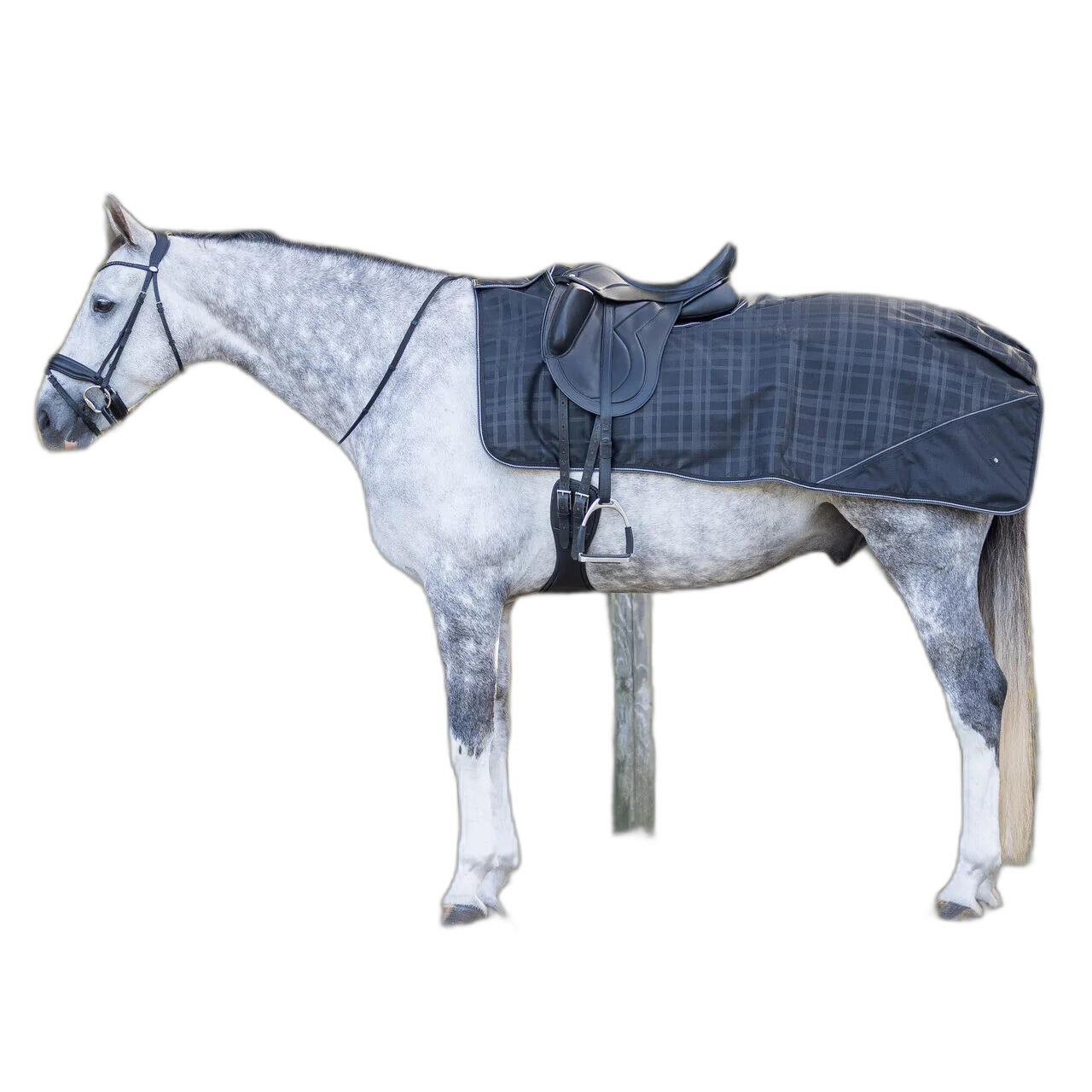 Derki dla koni z polaru QHP 1200D