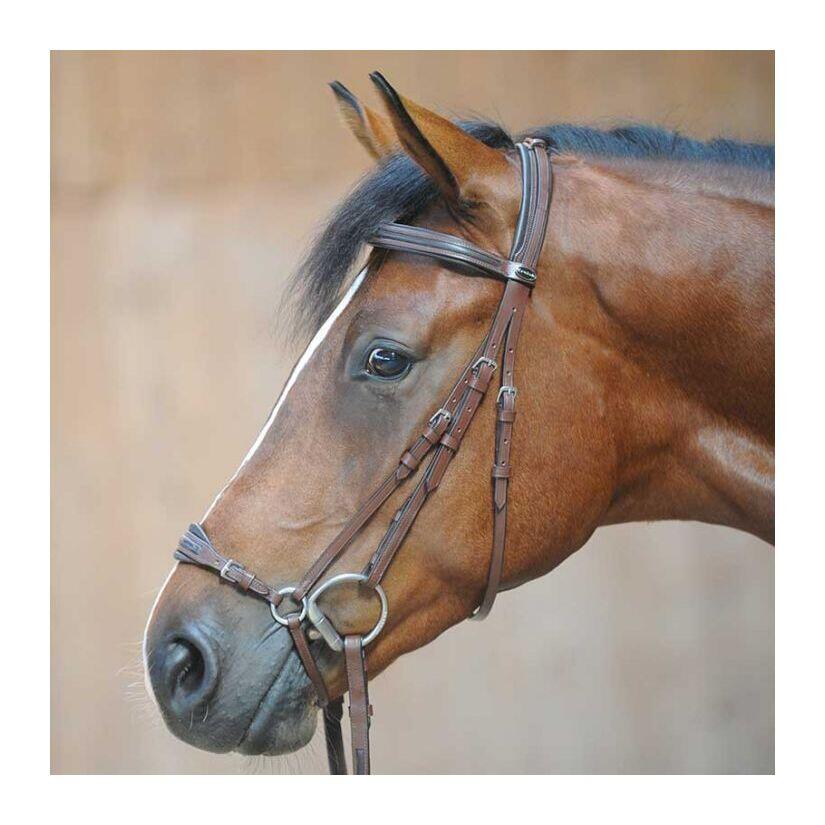 Uzda do jazdy konnej Kavalkade Levana