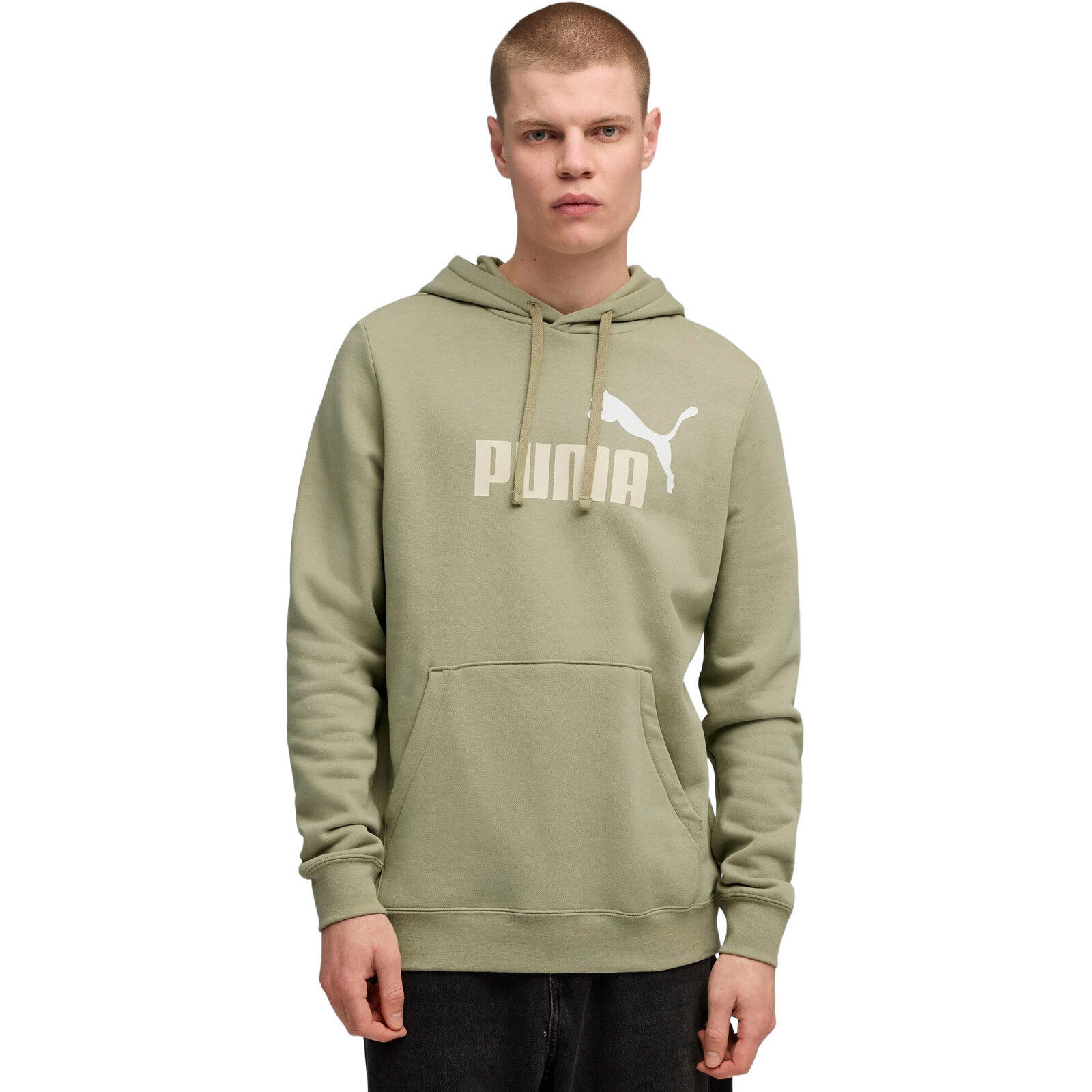 Bluza z kapturem męskie Puma Ess 2 Color No. 1 Logo Hoodie Fl Lux Arm