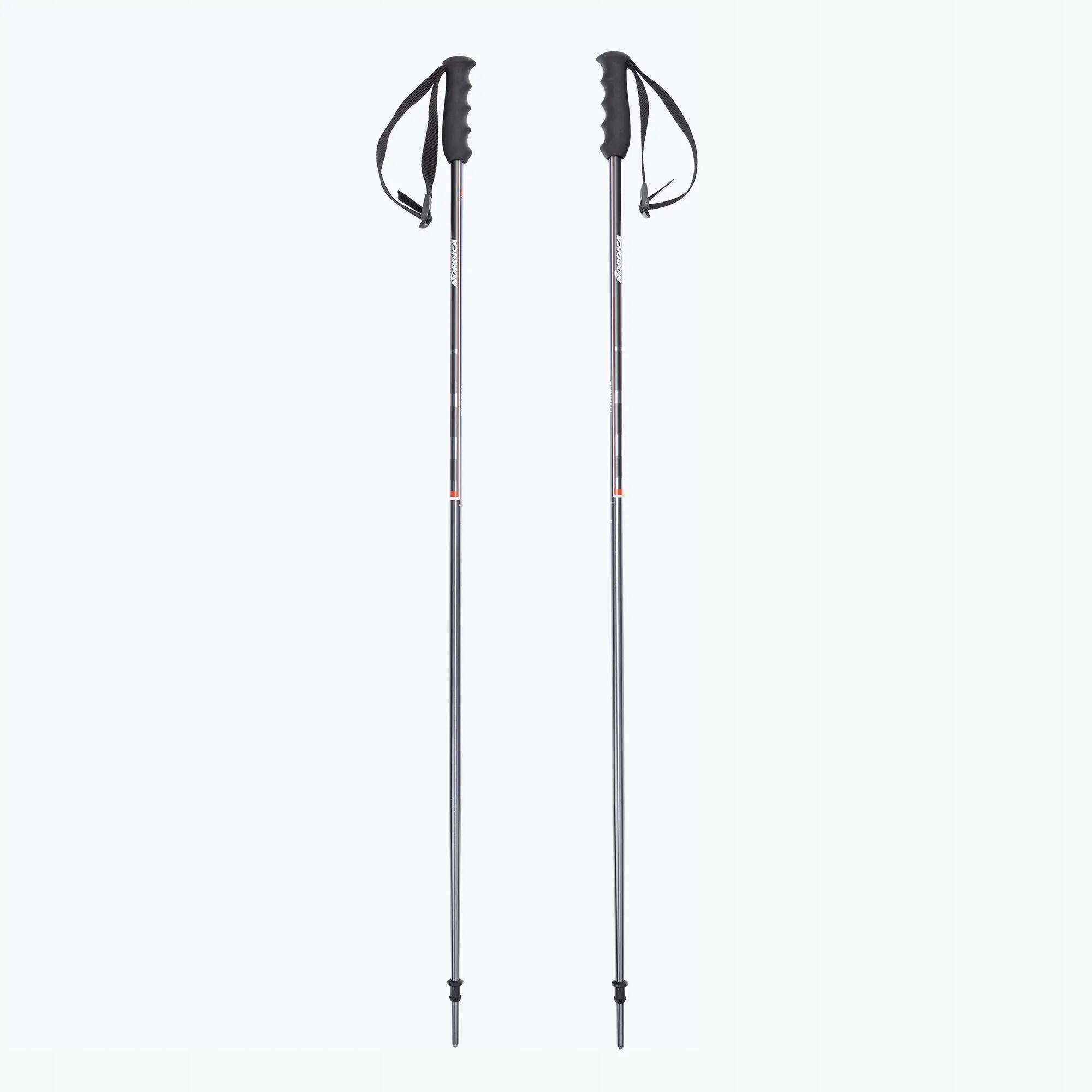 Kije narciarskie dla dorosłych Nordica Alpine TI Bright 16mm