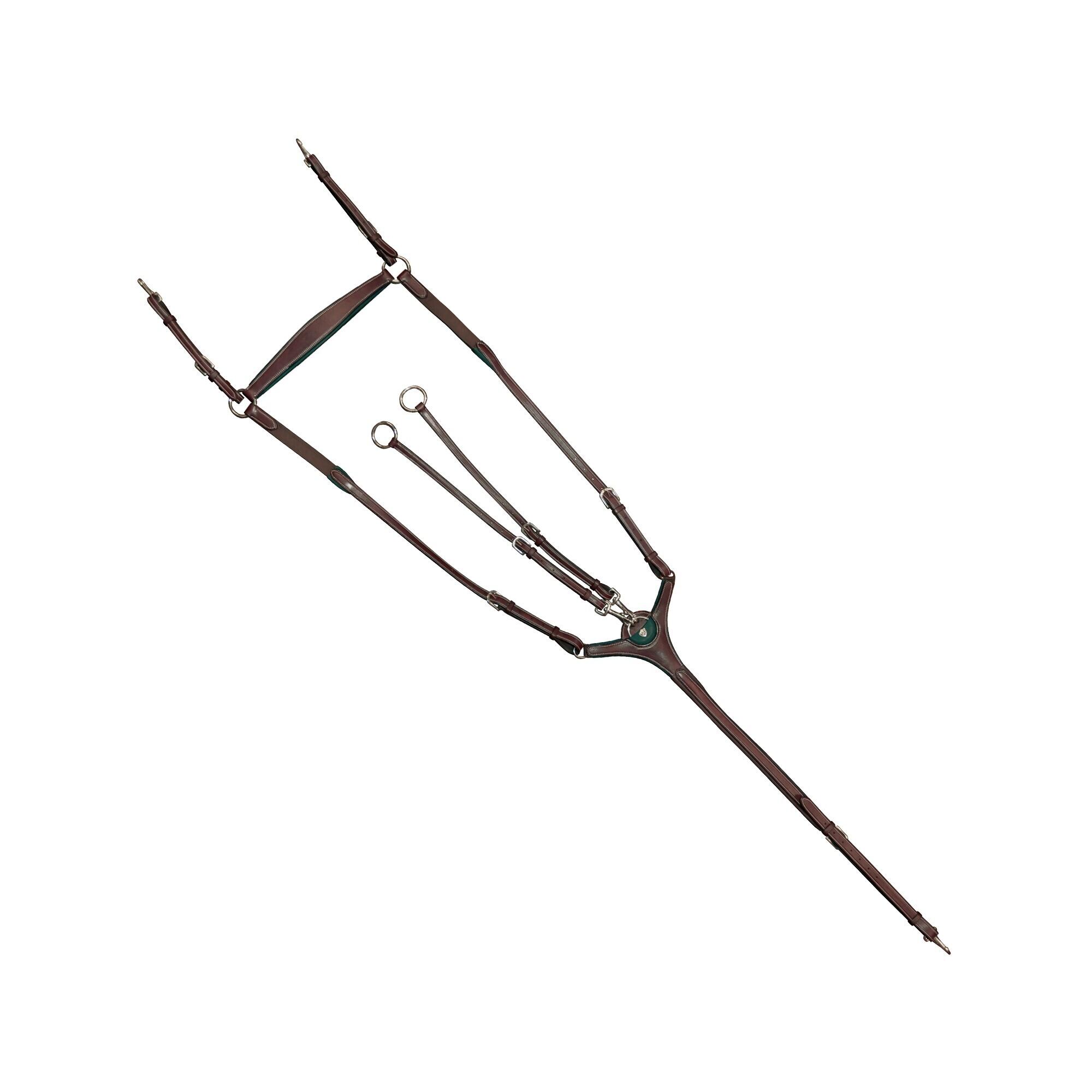 Kombinowane uzdy do jazdy konnej Flags&Cup Paris