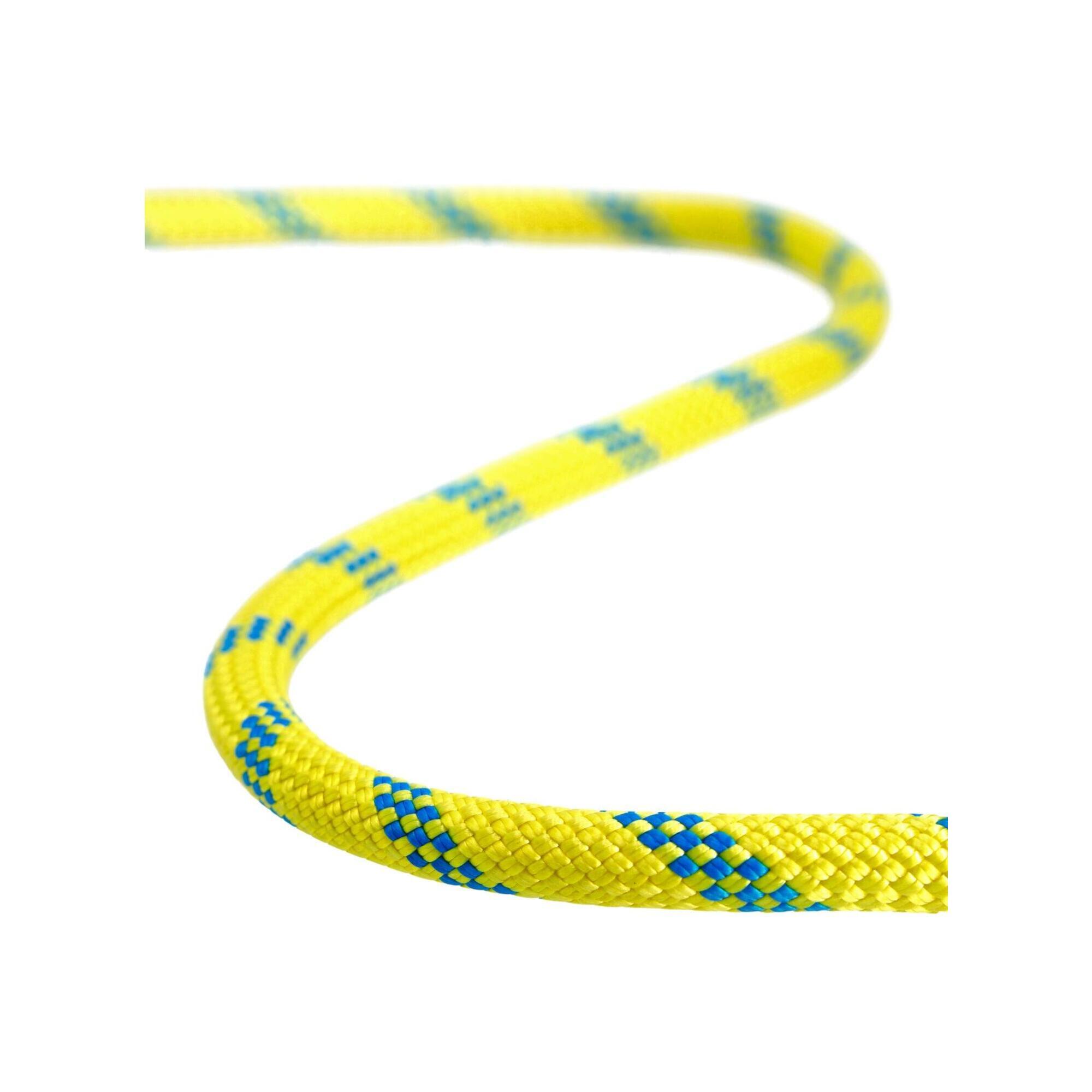 Lina statyczna Tendon Secure 11 mm