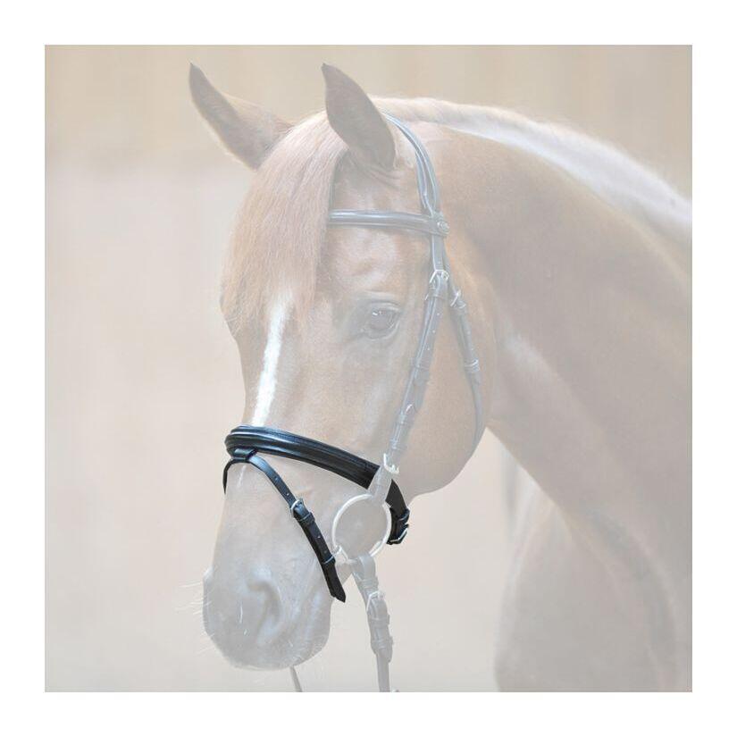 Nachrapnik Kavalkade Flash