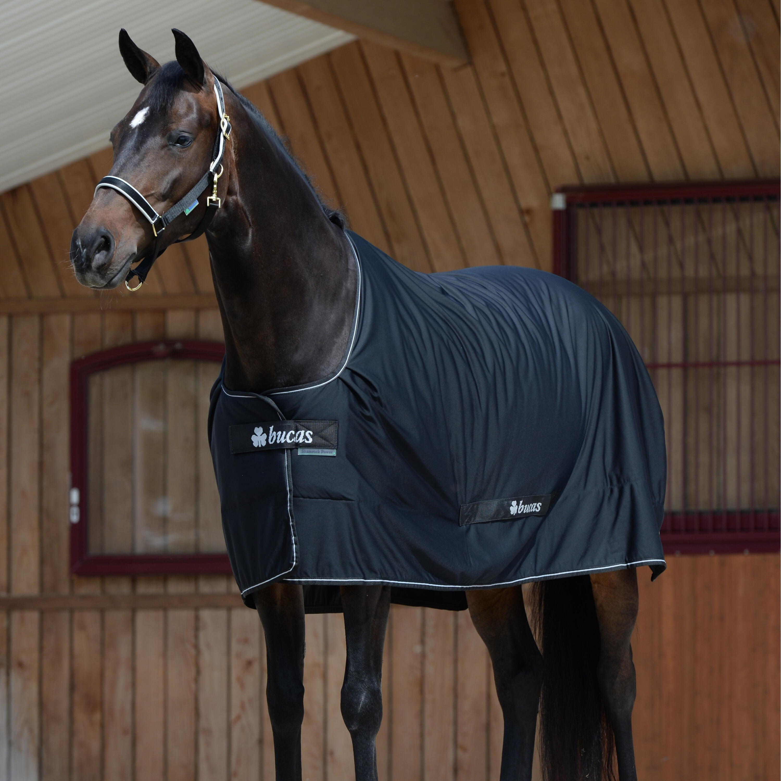 Zewnętrzna derka dla koni Bucas Shamrock Power