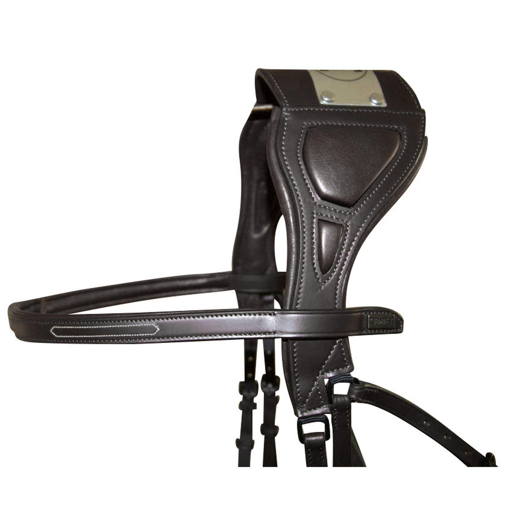 Uzda jeździecka T de T Chagall