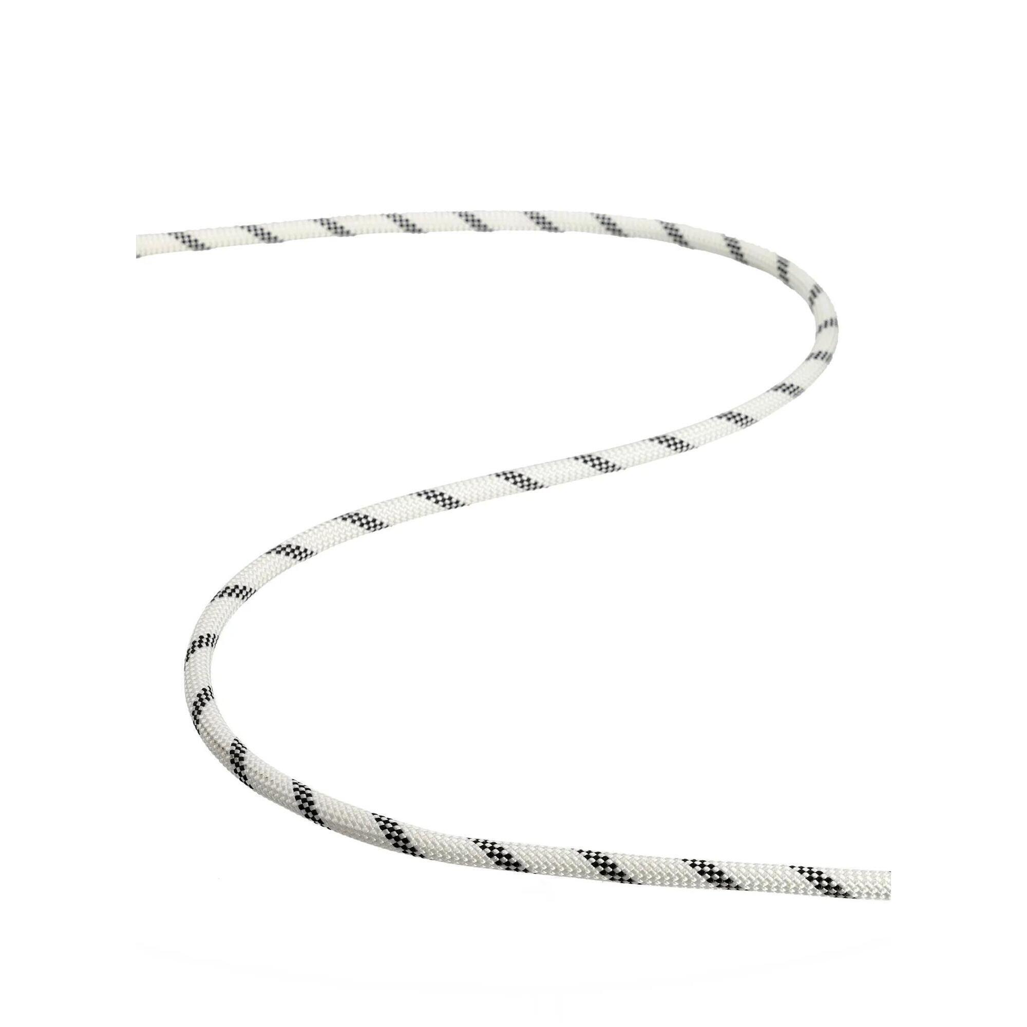 Lina statyczna Tendon Static 10,5 mm