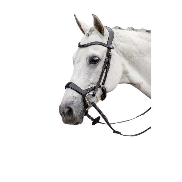 Uzda do jazdy konnej PS of Sweden Pioneer