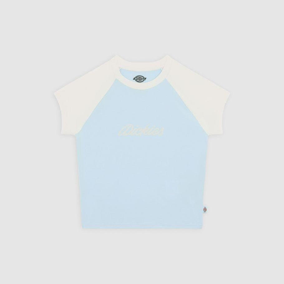 Koszulka Dickies Rope skyway