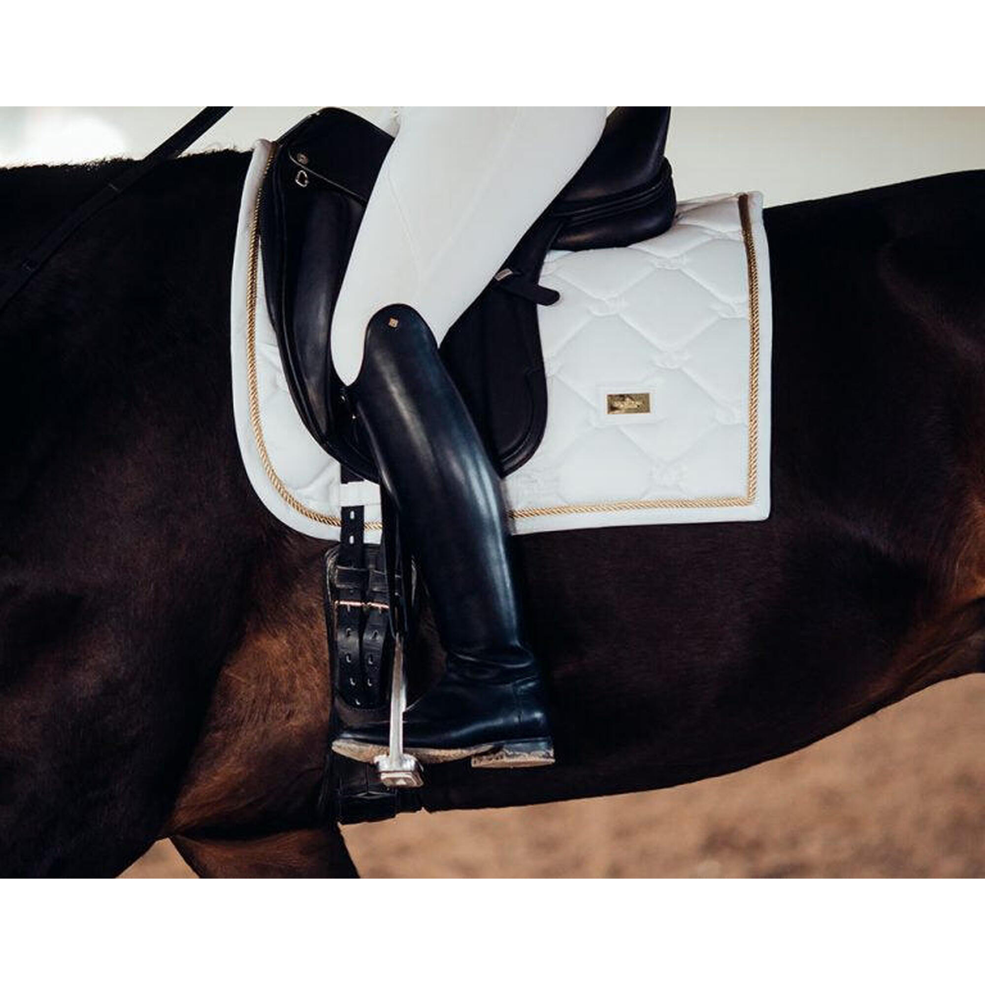 Mata ujeżdżeniowa dla koni Equestrian Stockholm