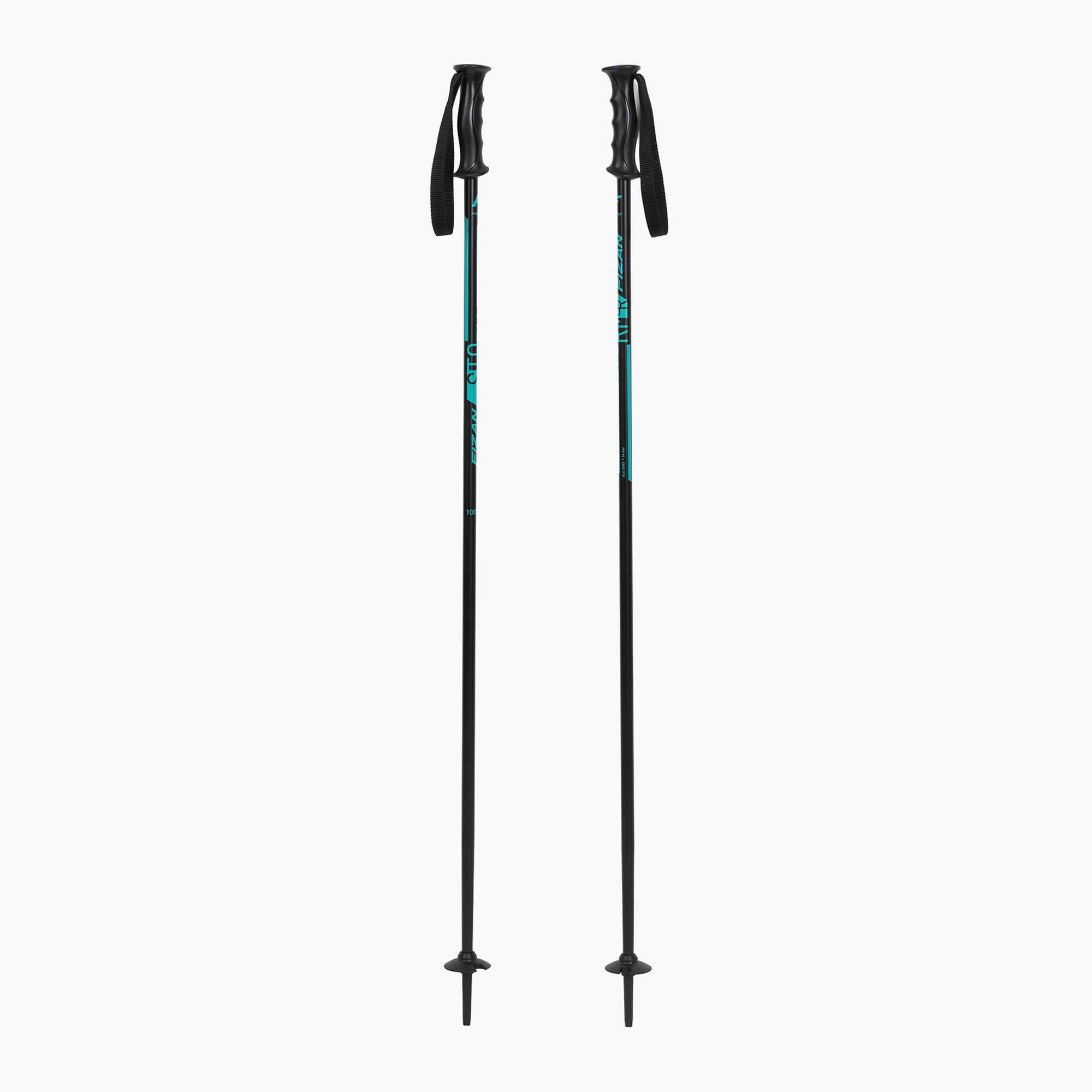 Kije narciarskie dziecięce Fizan Storm Jr