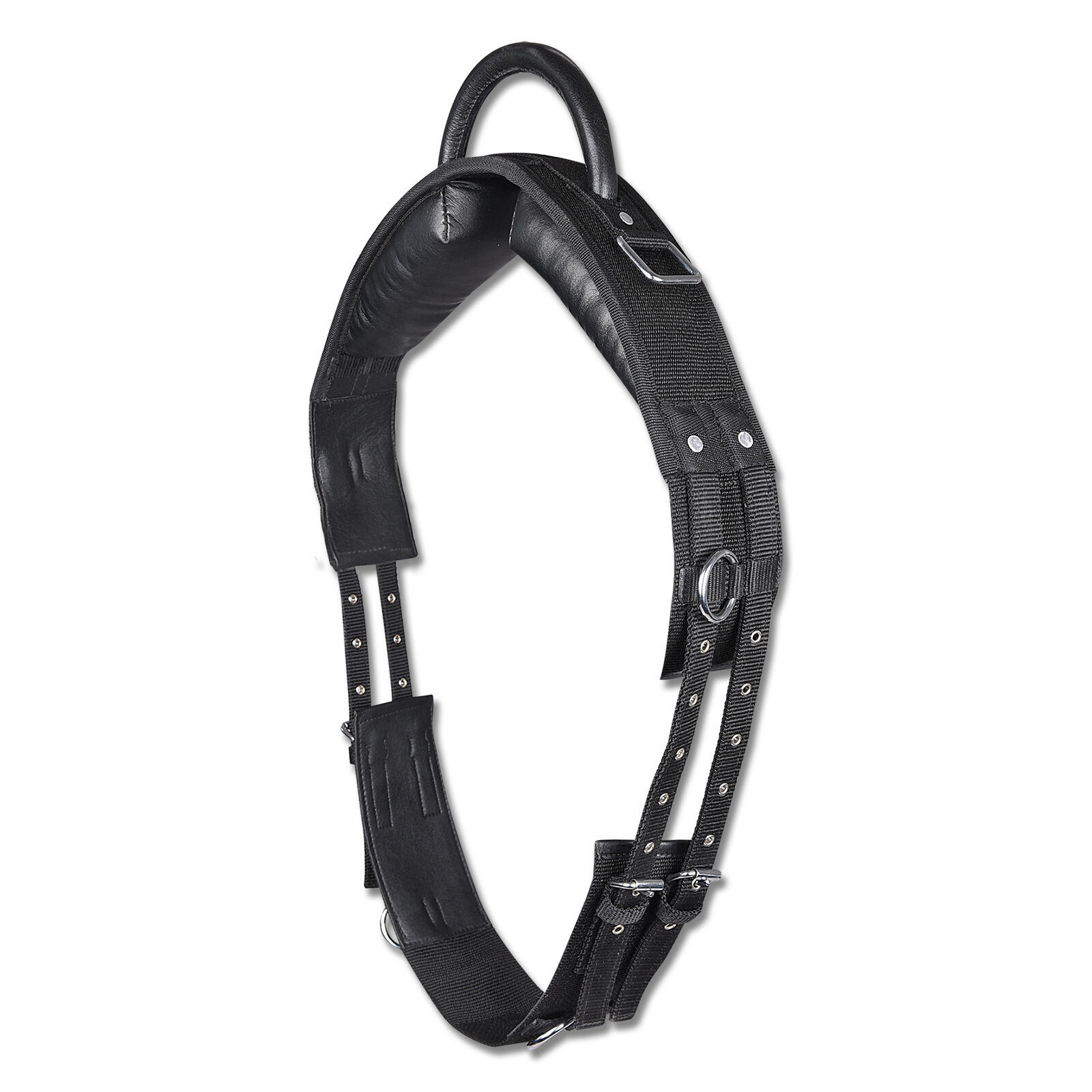 Surfaix dla konia z uchwytem Star