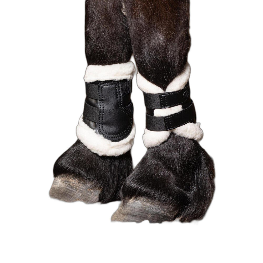 Zamknięte Ochraniacze dla koni Harry's Horse Flextrainer Tiny Air