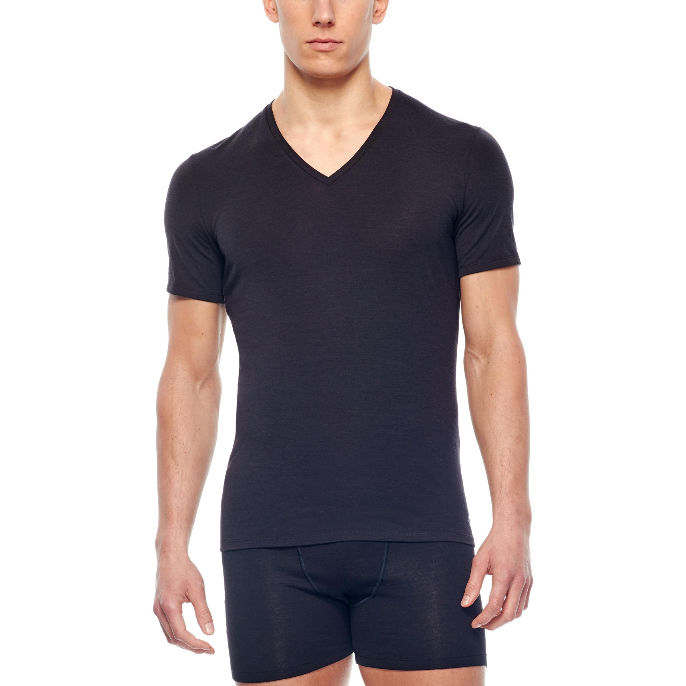 Koszulka Turystyczna Męska Icebreaker Anatomica SS V T-Shirt