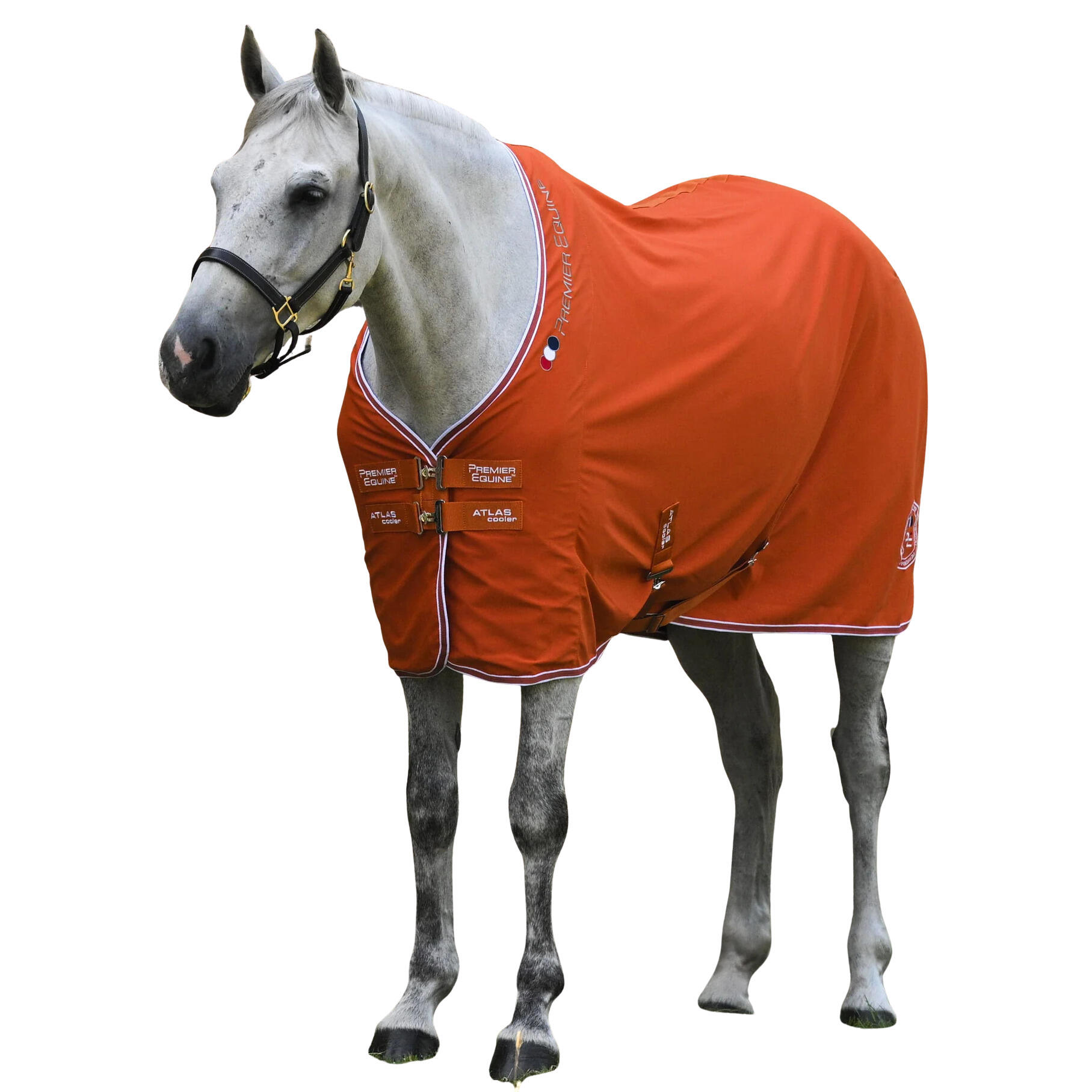 Derka osuszające dla koni Premier Equine Atlas