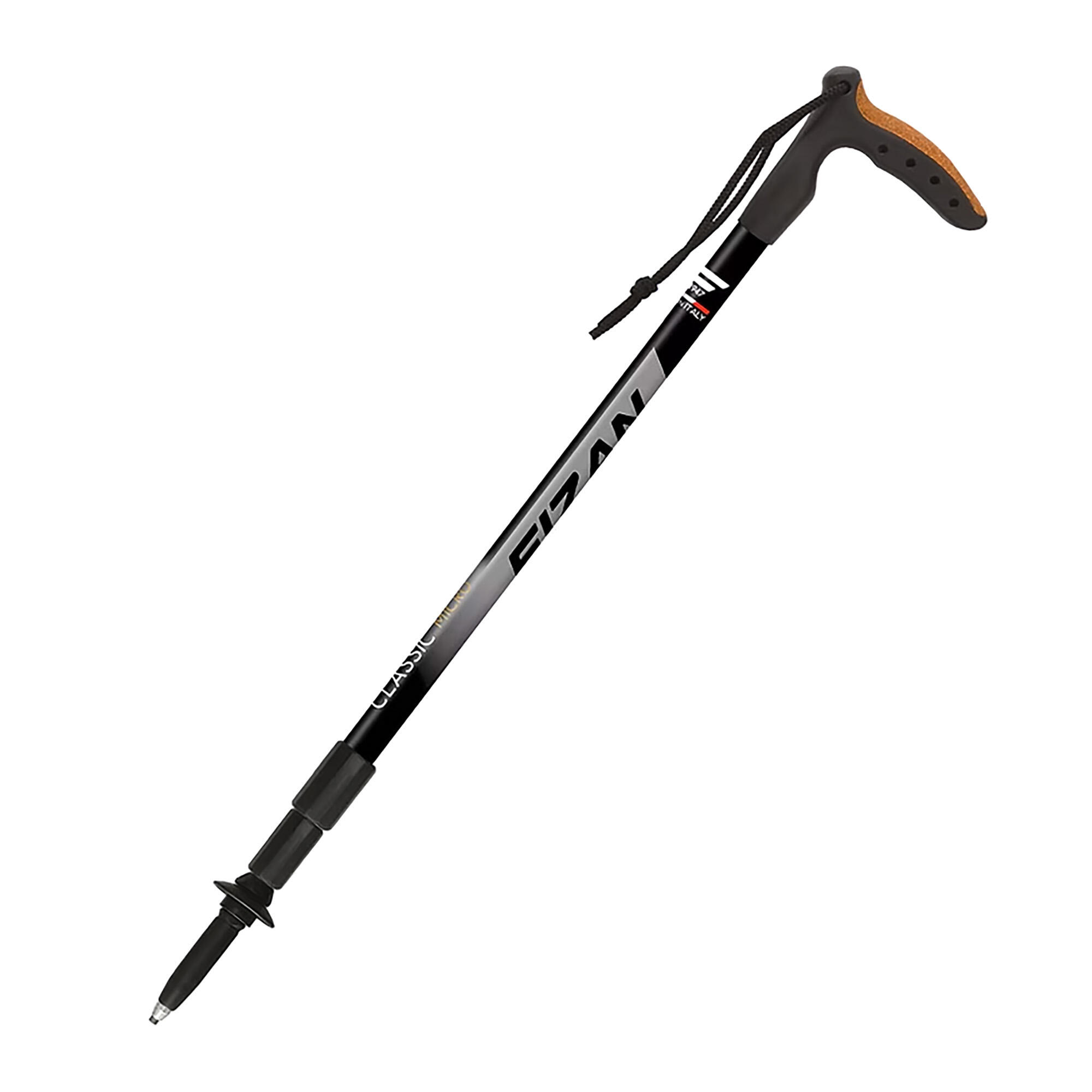 Kij nordic walking Fizan Classic Micro