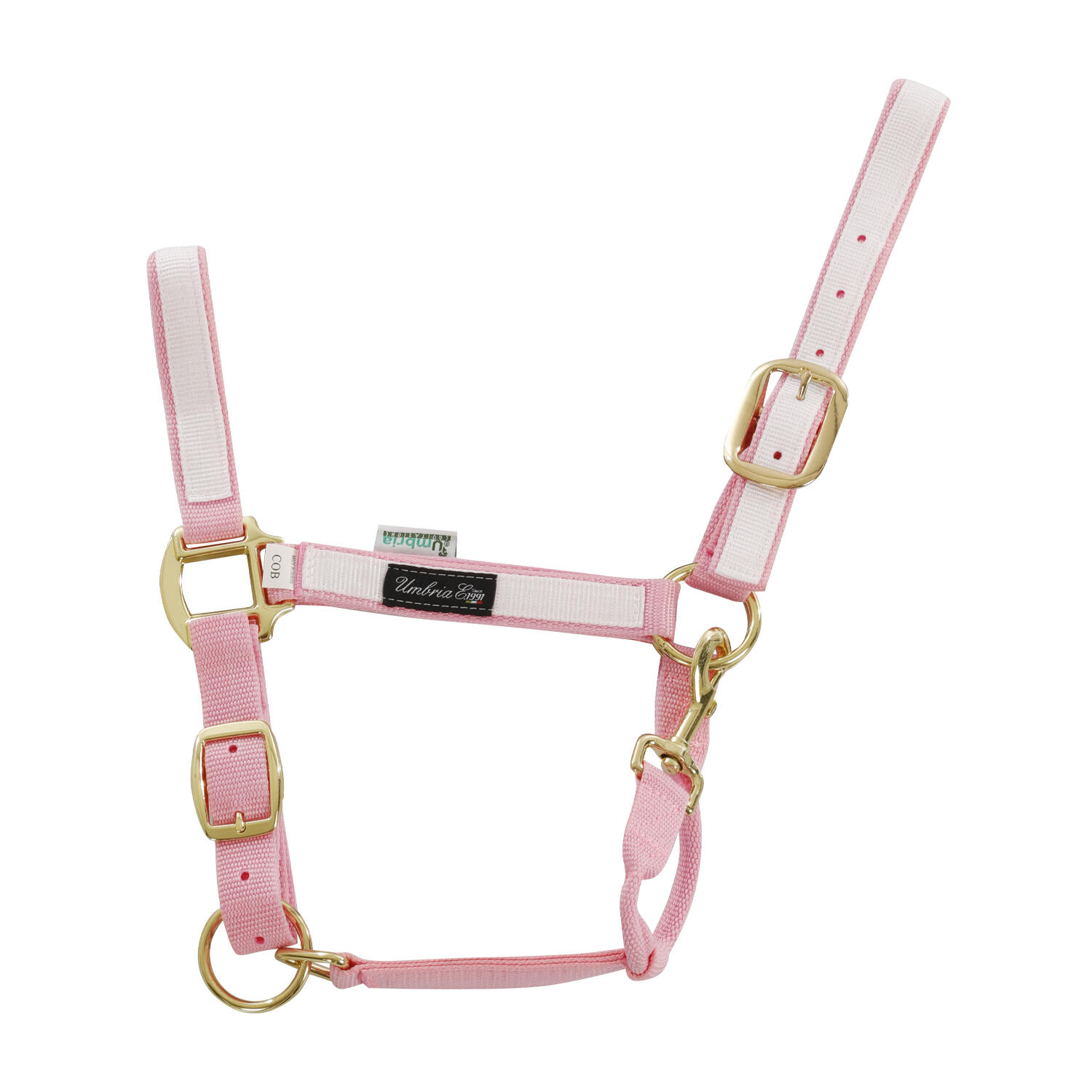 Nylonowy kantar z kolorową wstawką