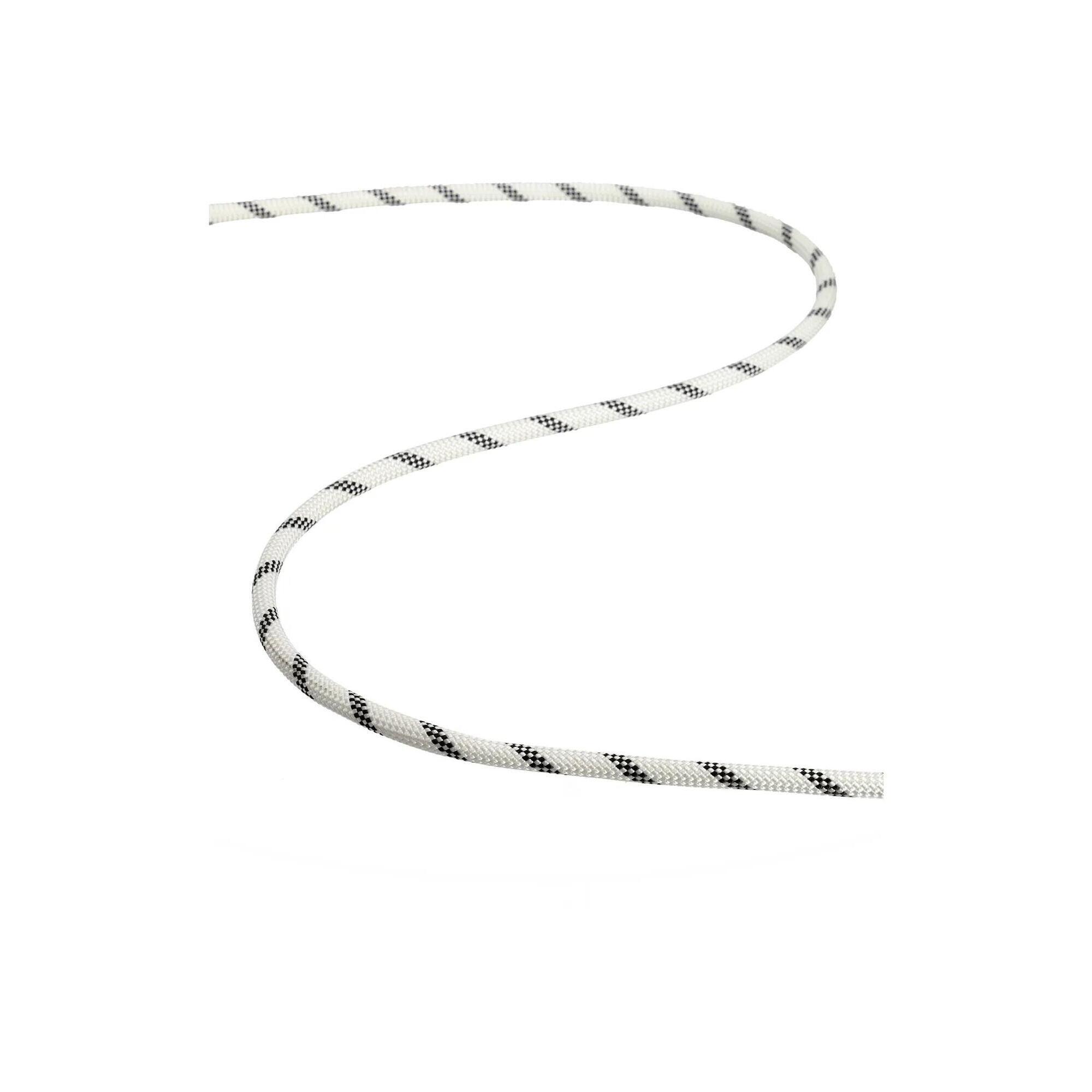 Lina statyczna Tendon Static 11 mm