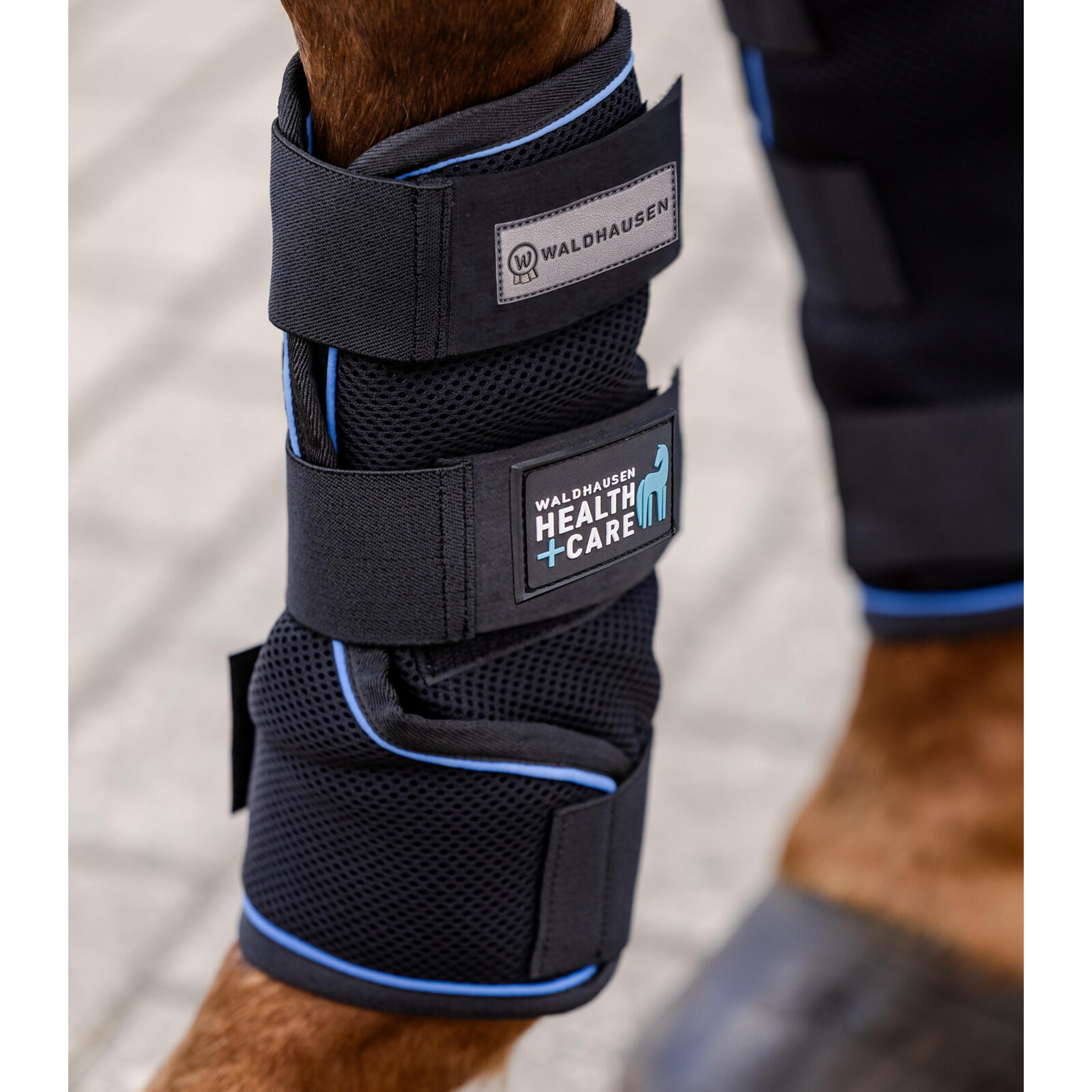 Ochraniacze dla koni Waldhausen Health + Care Ice Layer (x2)