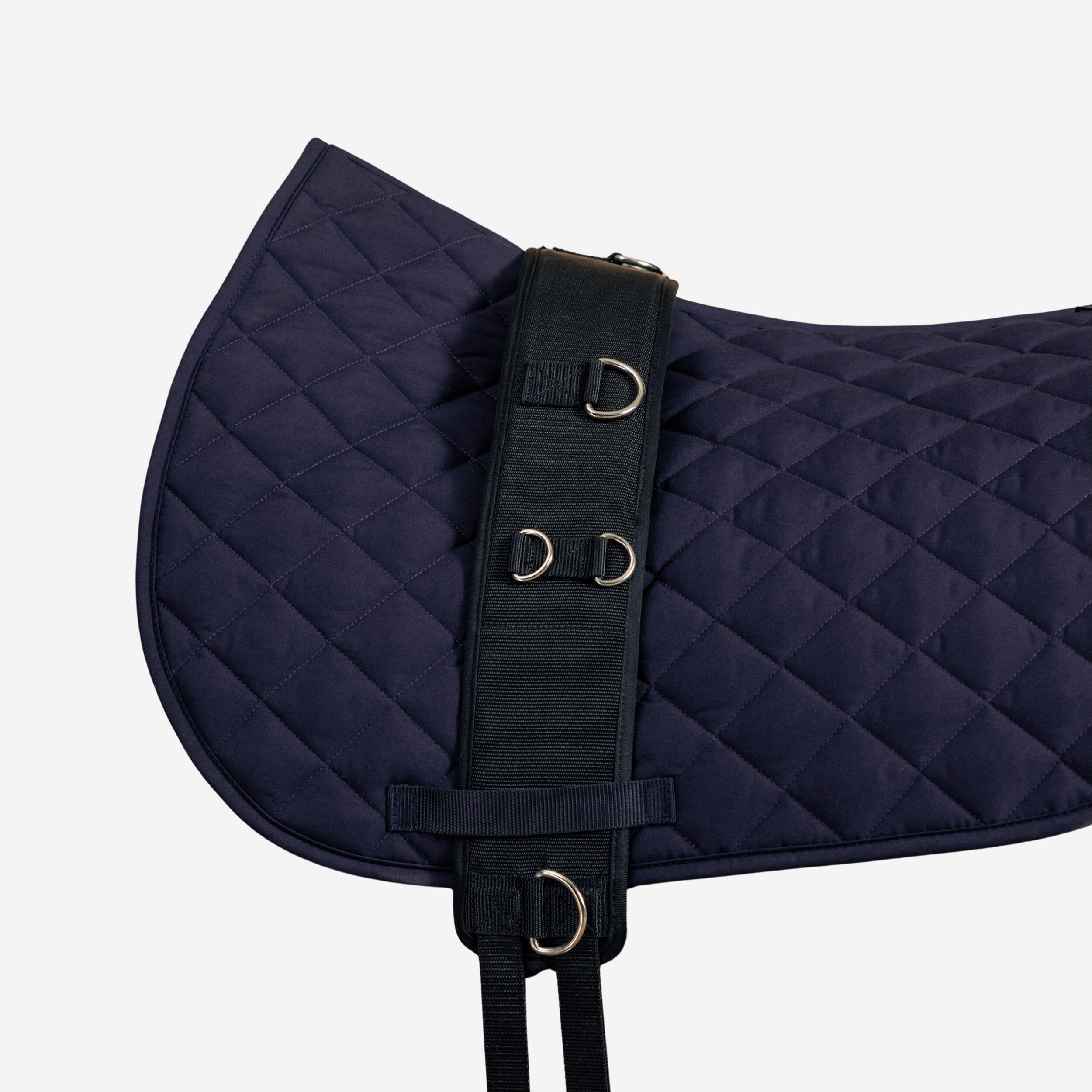 Pas do lonżowania dla konia i kuca