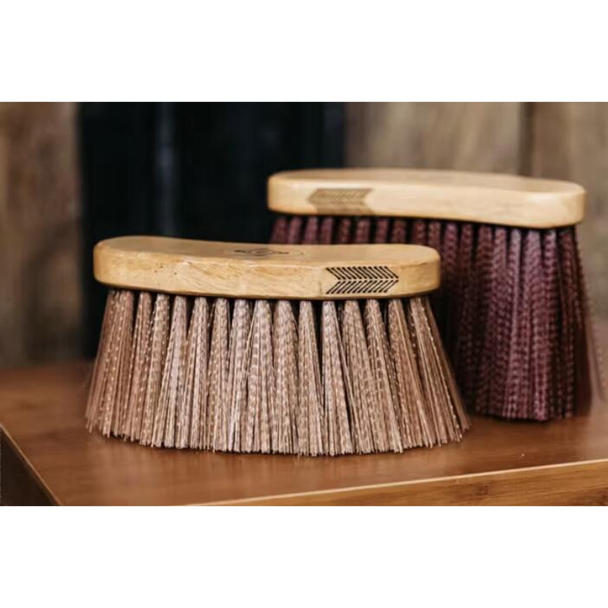 Kentucky Middle Brush Bruin -