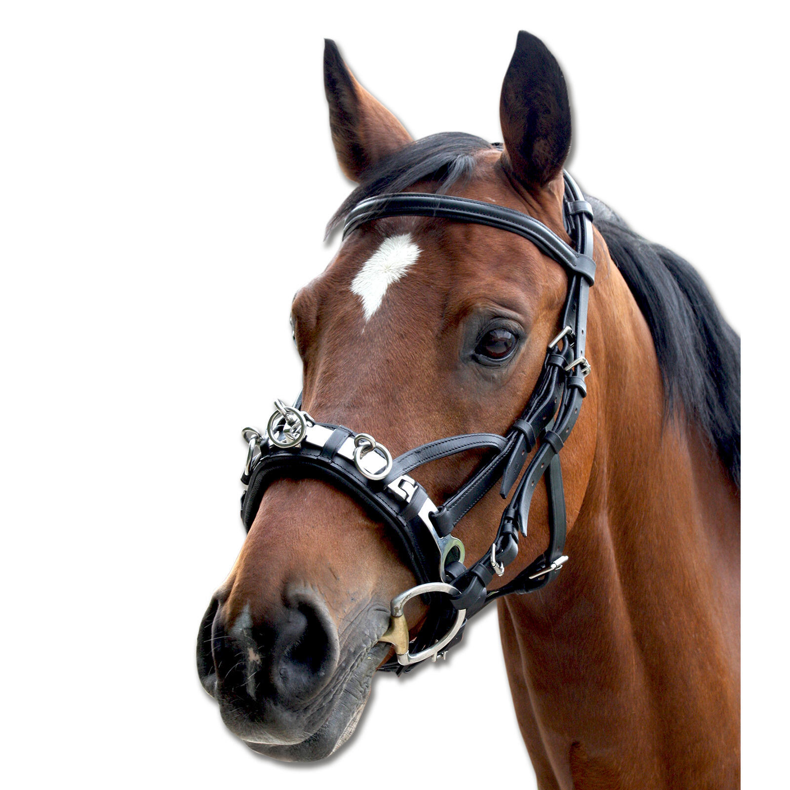 Skórzany boks dla konia Waldhausen