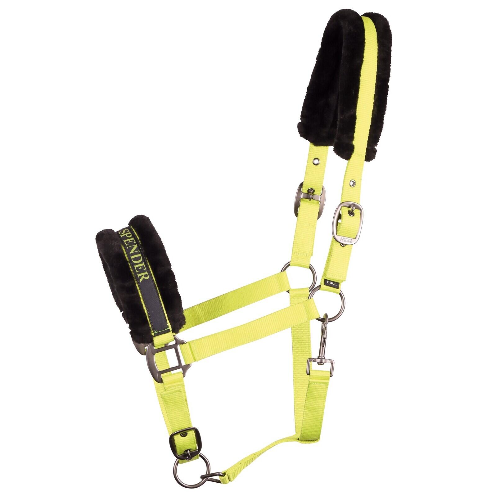 Kantar dla koni Harry's Horse Lyrics Quotes