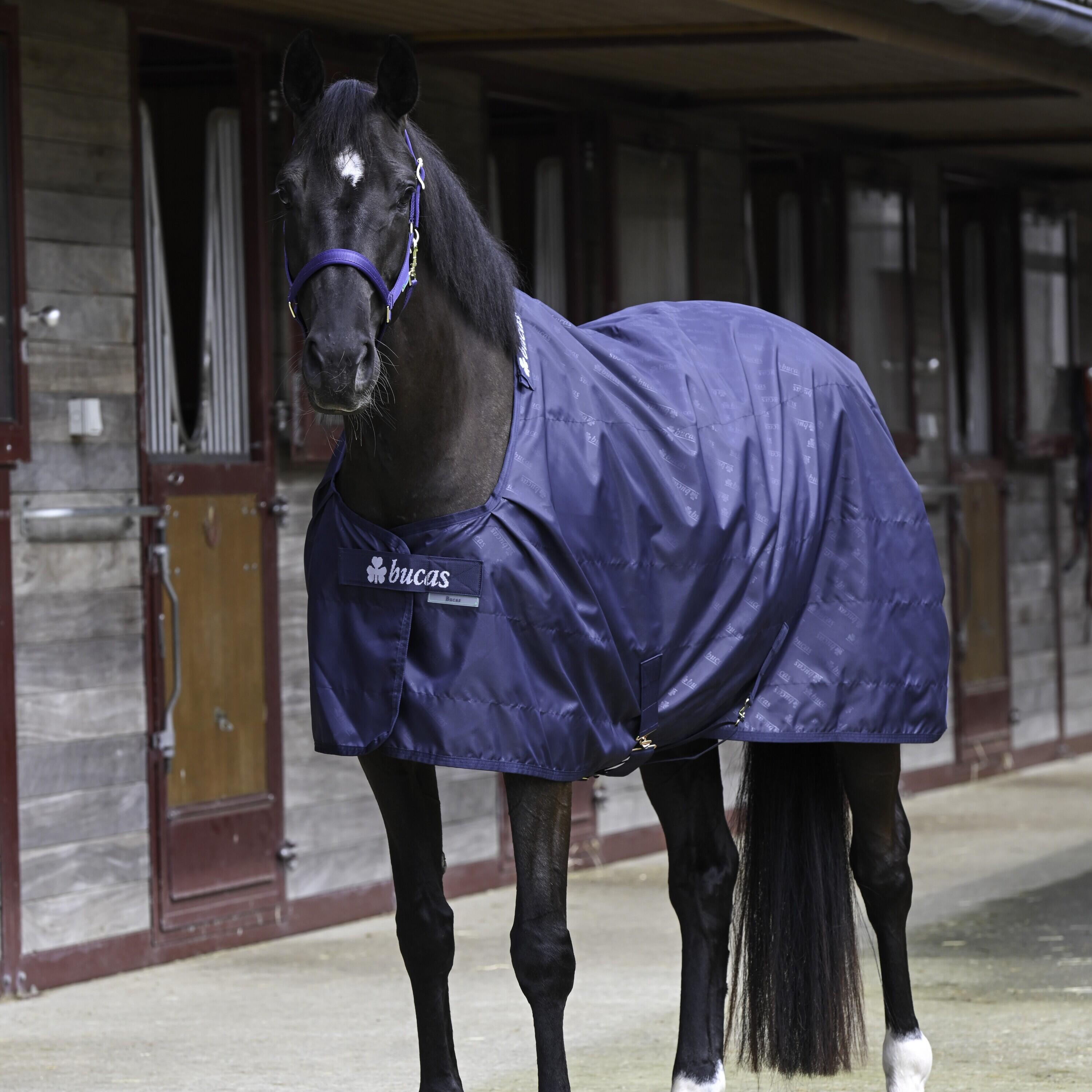 Derka stajenna dla koni Bucas 0g