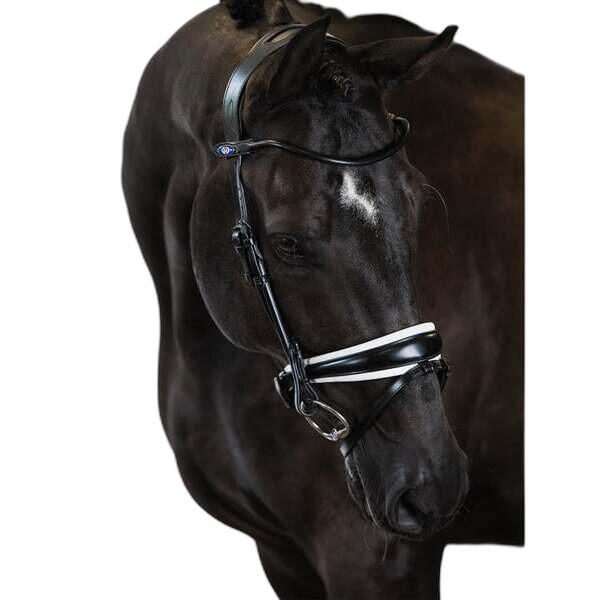 Uzda do jazdy konnej PS of Sweden GP