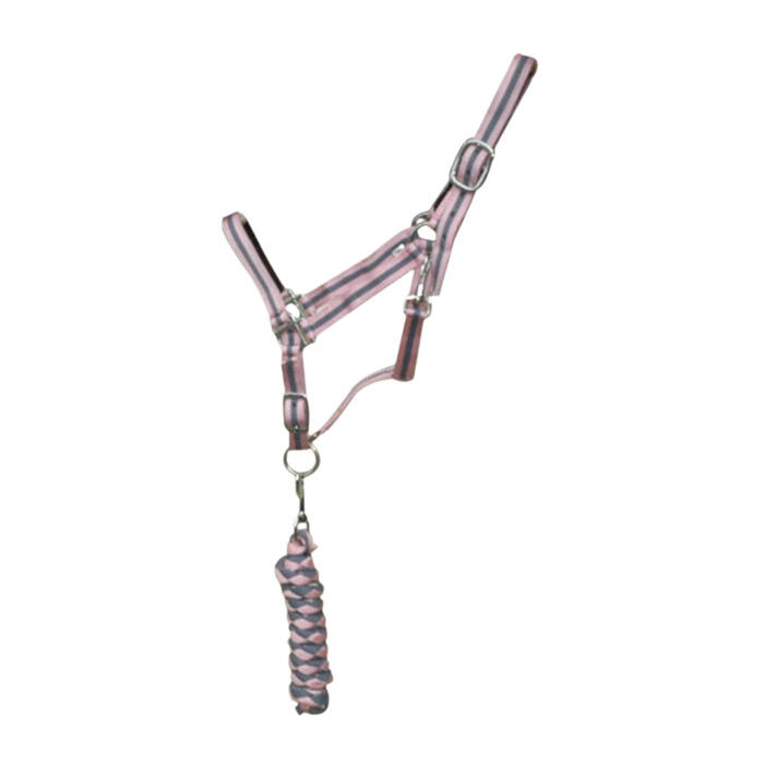 Podwójny kantar dla konia + lonża T de T