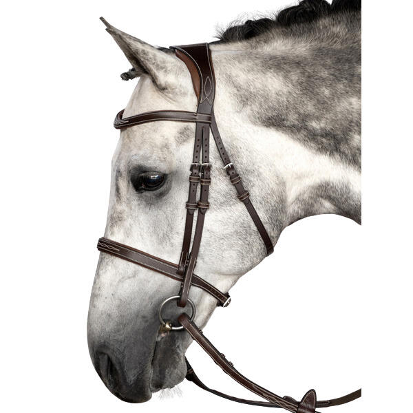 Uzda do jazdy konnej PS of Sweden Ocala