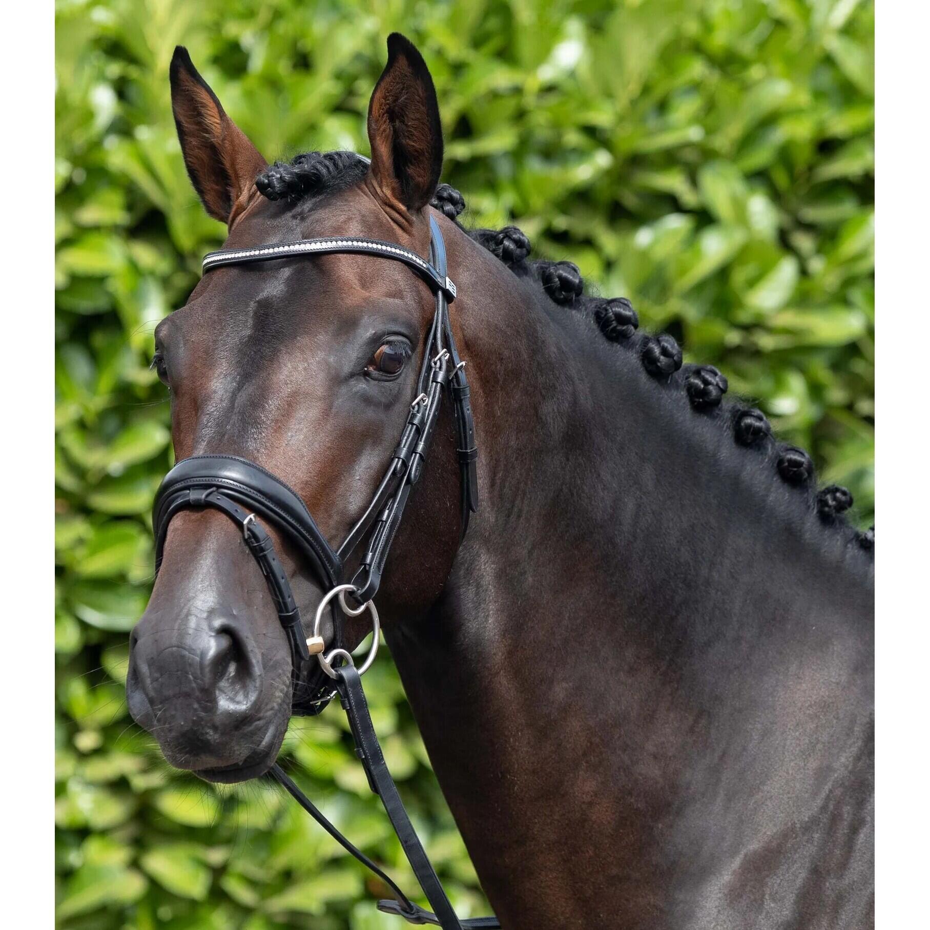 Uzda z anatomicznym nachrapnikiem kombinowanym Premier Equine Stellazzio