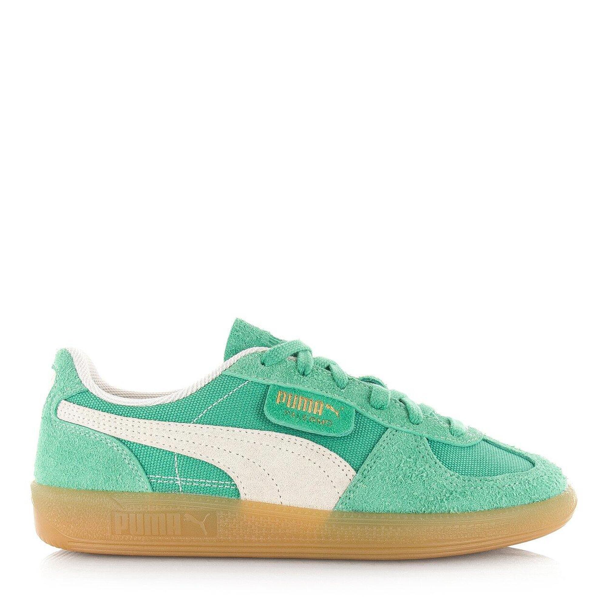 Buty Mężczyzna Puma Palermo Vintage zielony