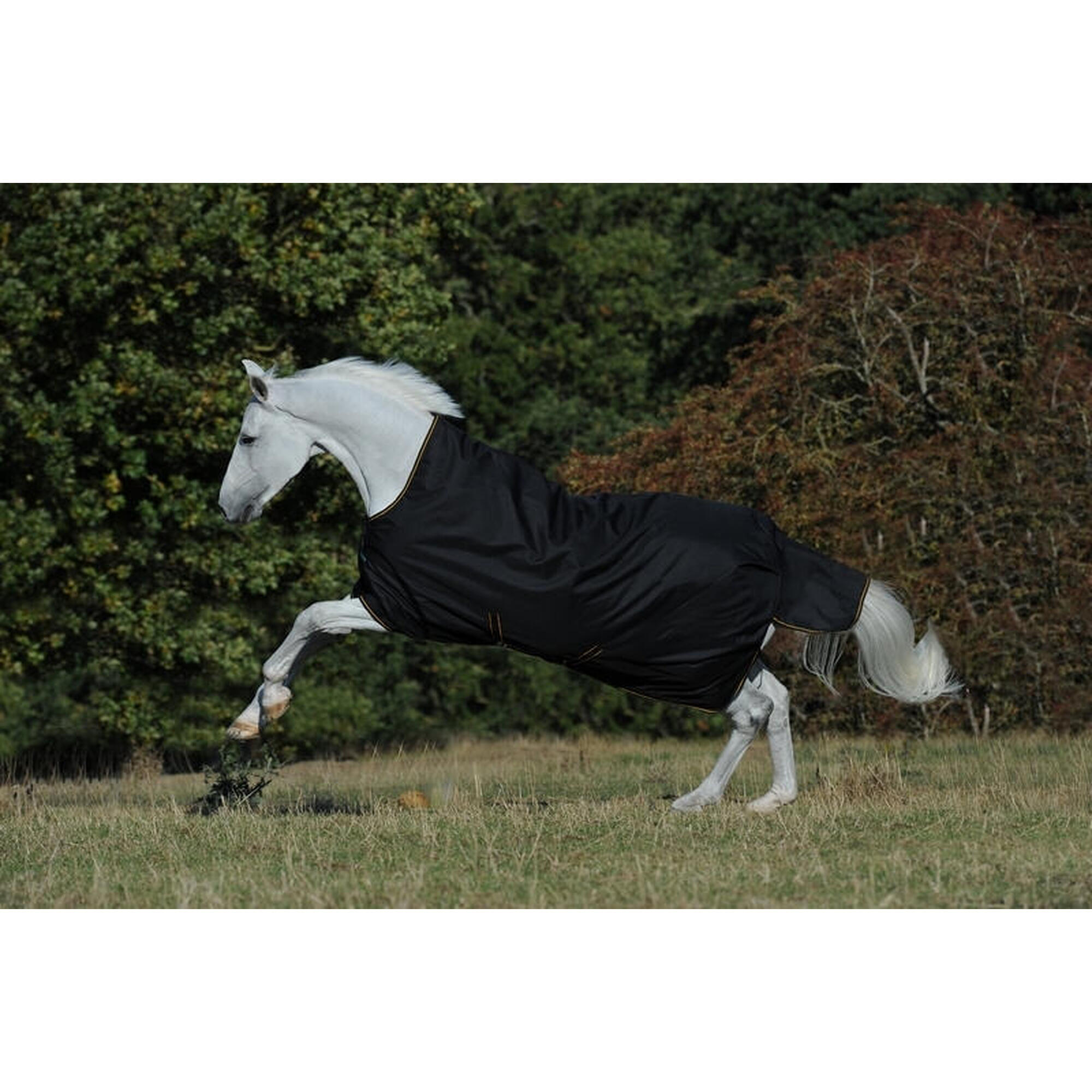 Zewnętrzna derka dla koni Bucas Irish Turnout H/N 50g