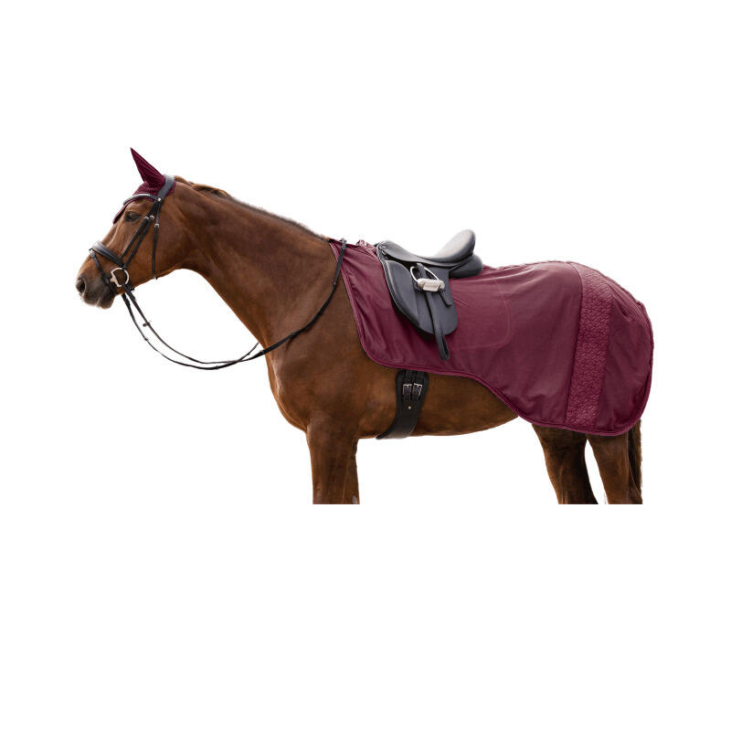 Derka przeciw muchom dla koni Waldhausen Rom