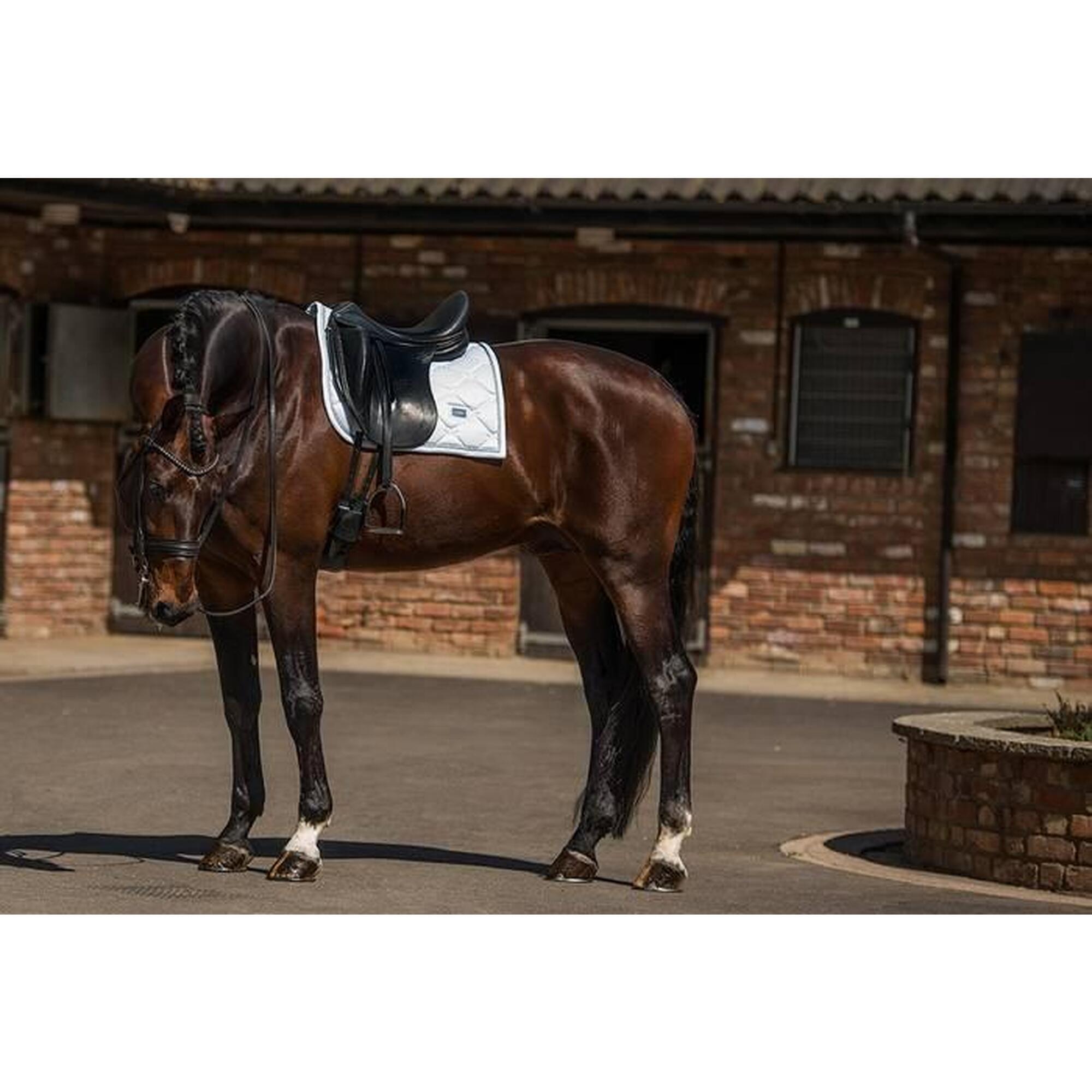 Mata ujeżdżeniowa dla koni Equestrian Stockholm